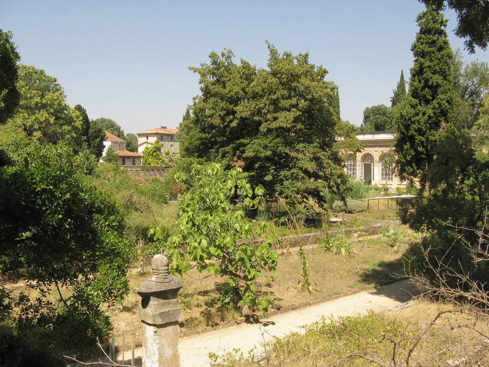 Jardín de plantas de Montpellier