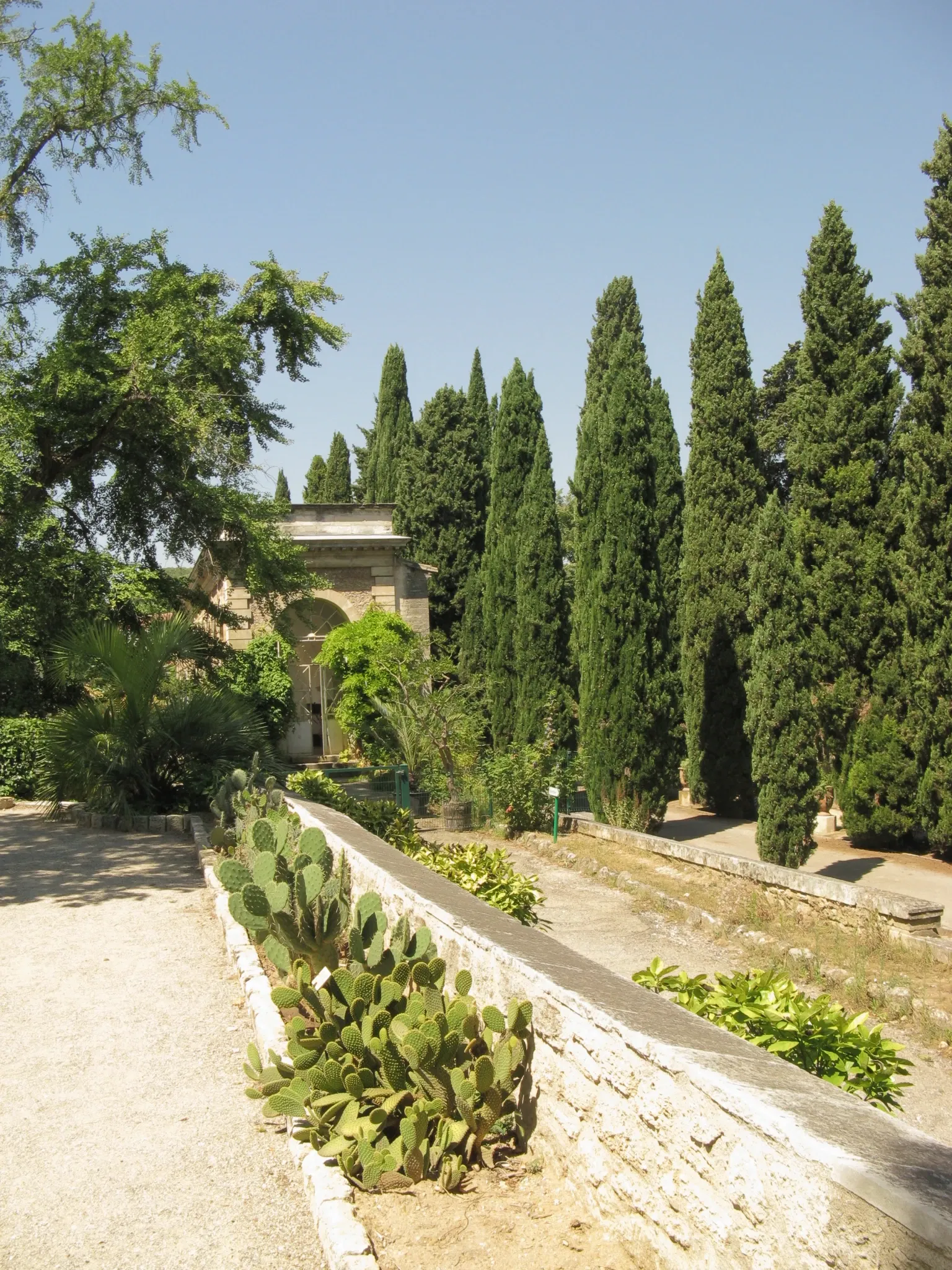 Orto botanico di Montpellier