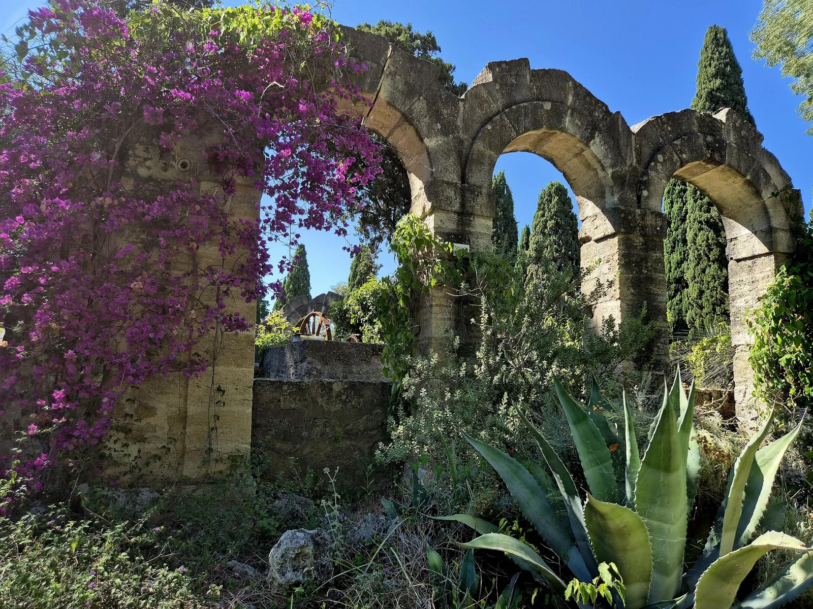 Jardin des plantes de Montpellier