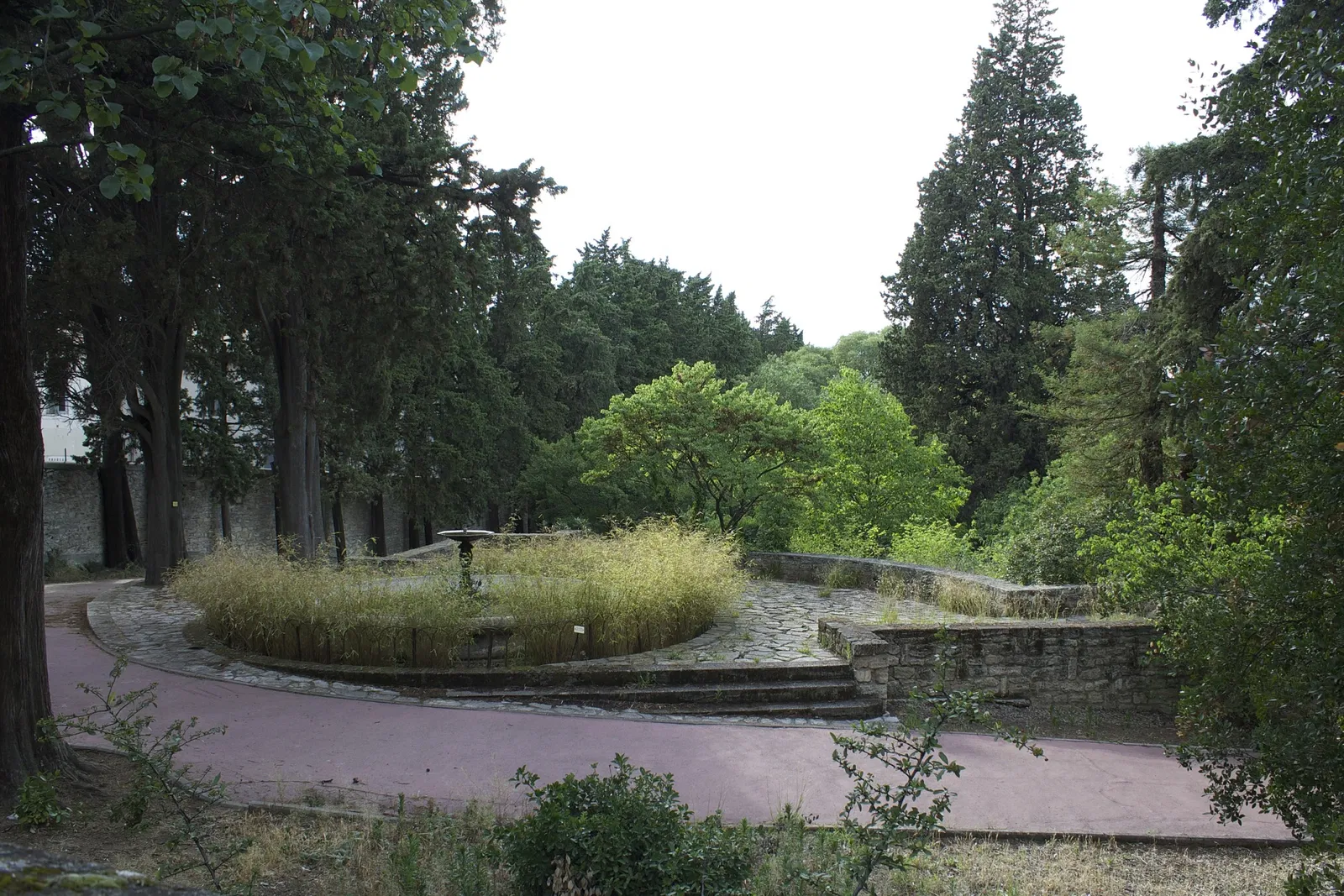 Orto botanico di Montpellier
