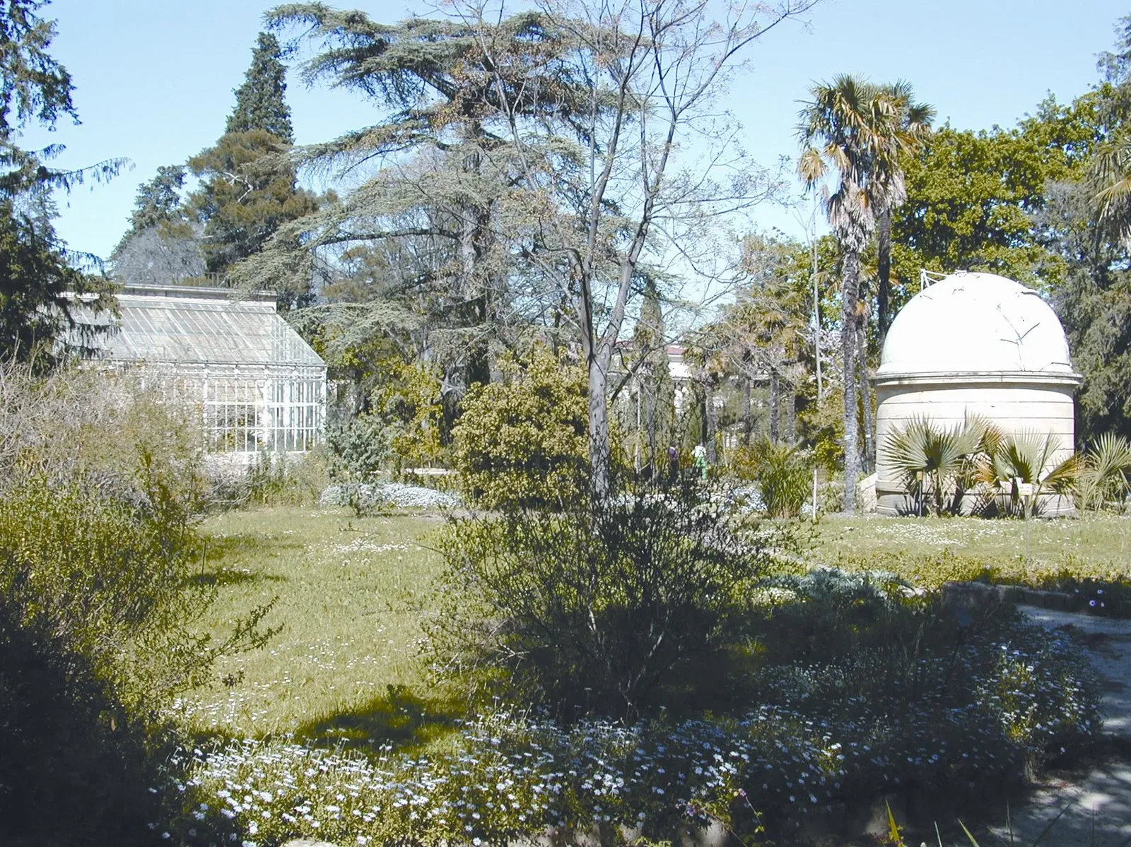 Orto botanico di Montpellier