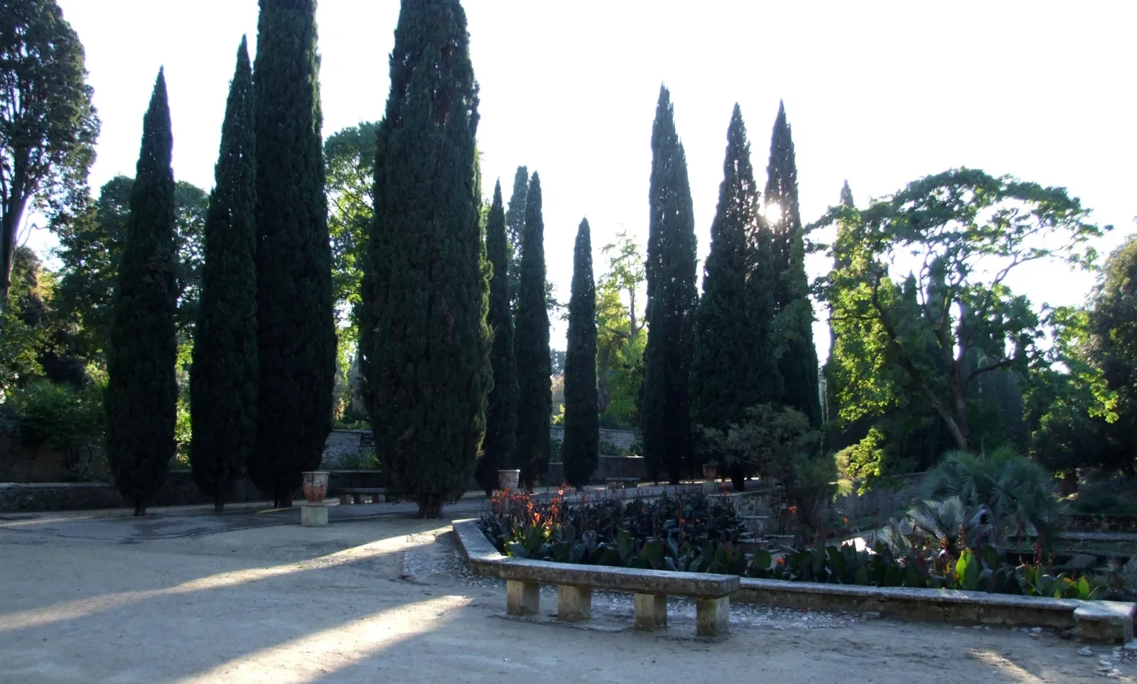 Jardín de plantas de Montpellier