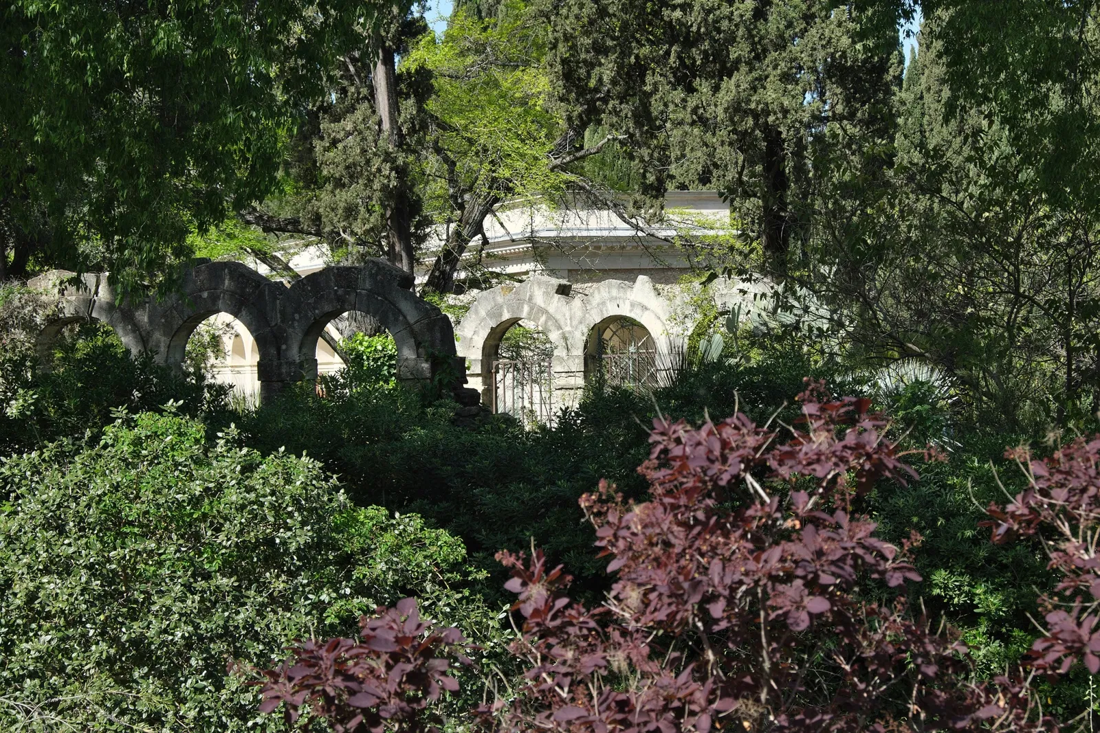 Orto botanico di Montpellier