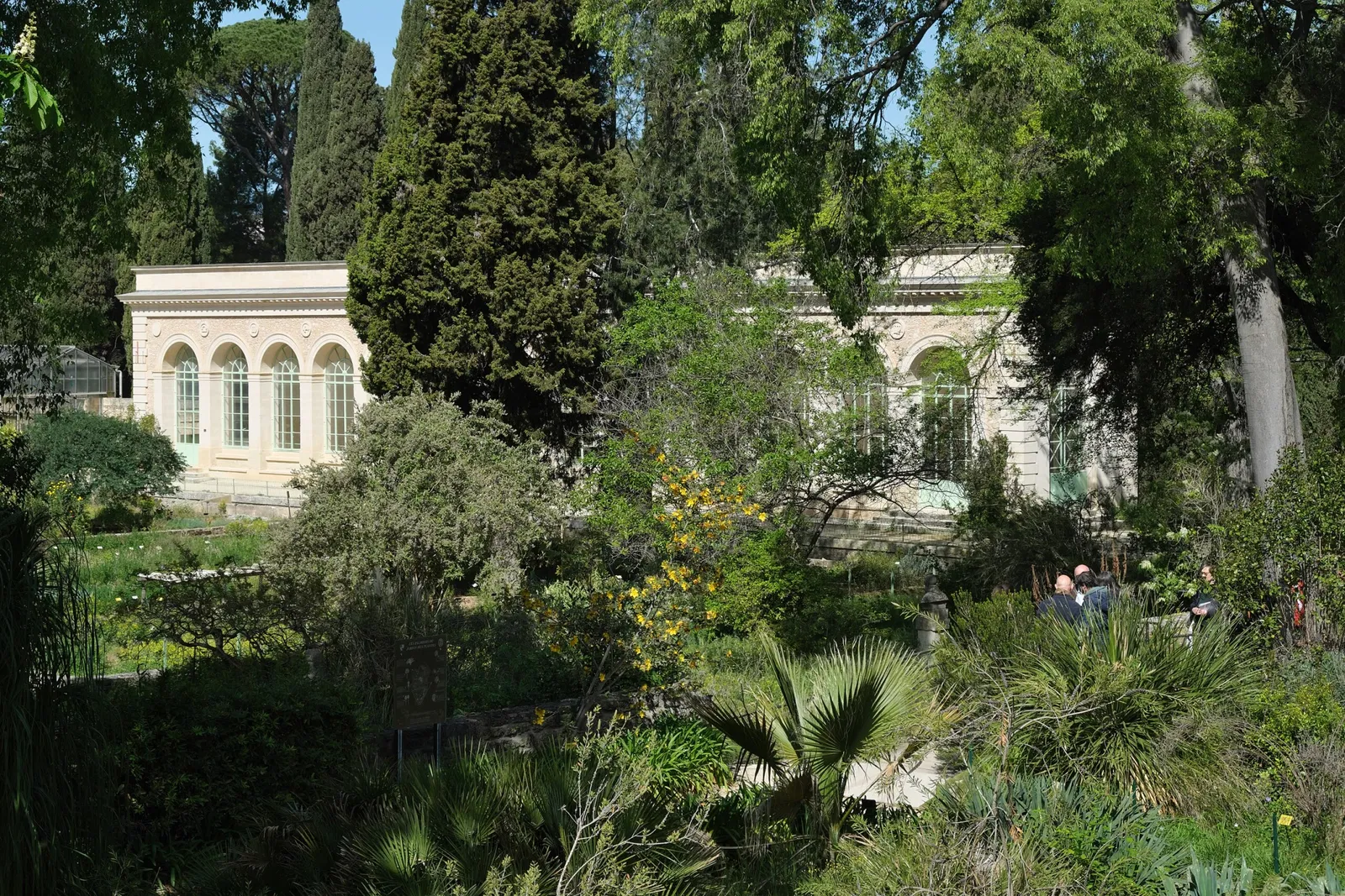 Orto botanico di Montpellier