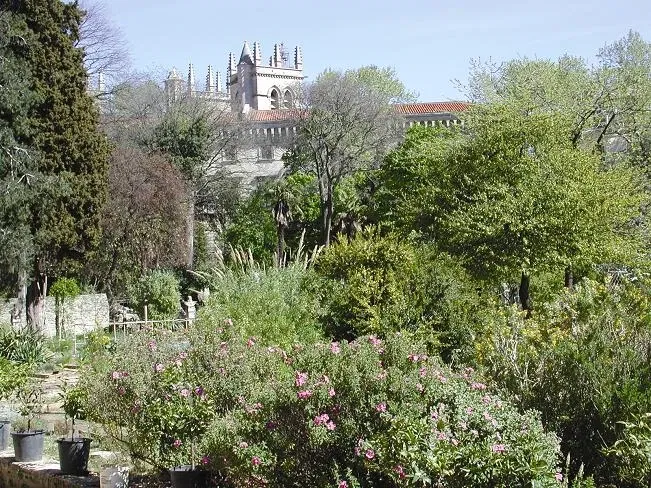 Jardin des plantes de Montpellier