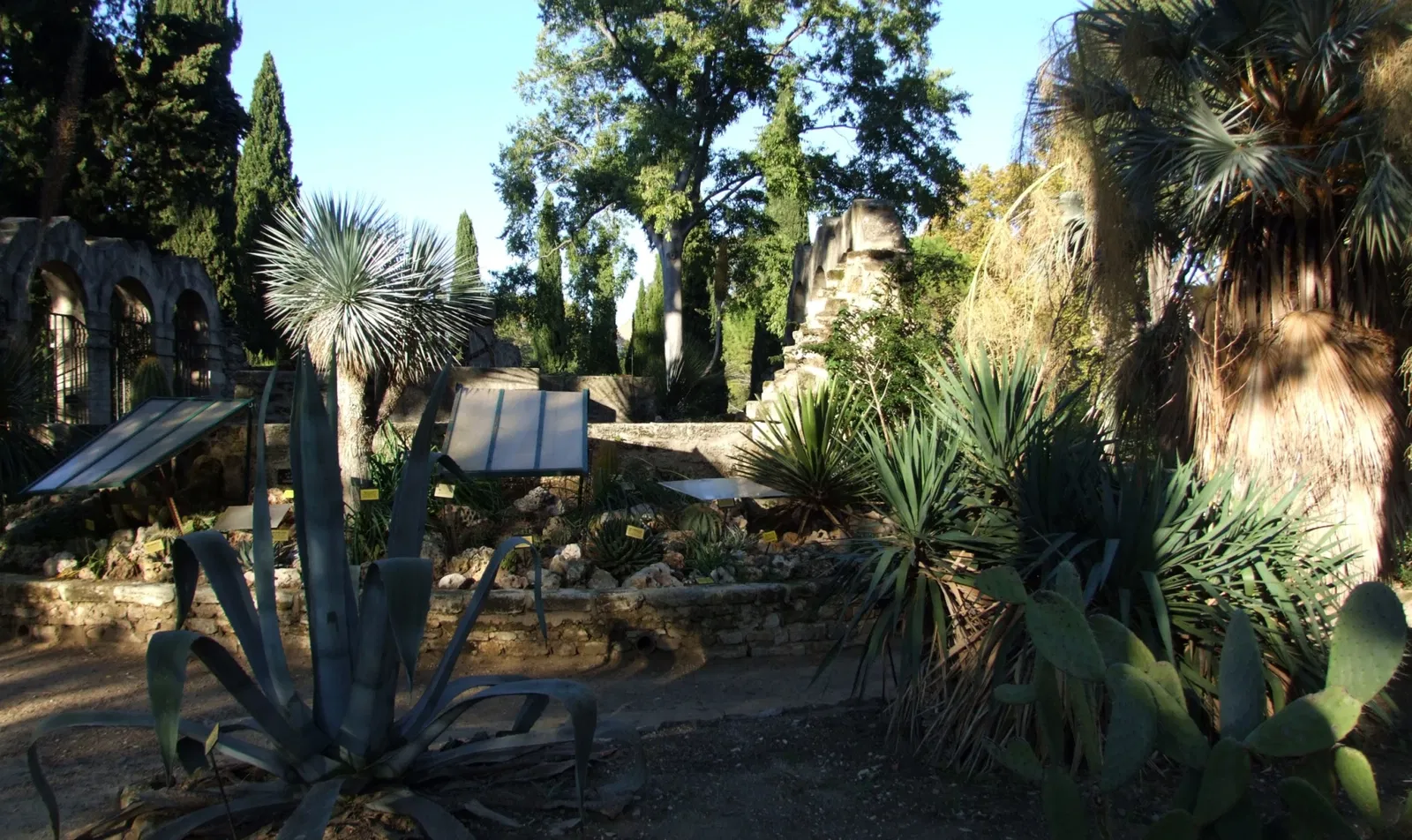 Jardin des plantes de Montpellier