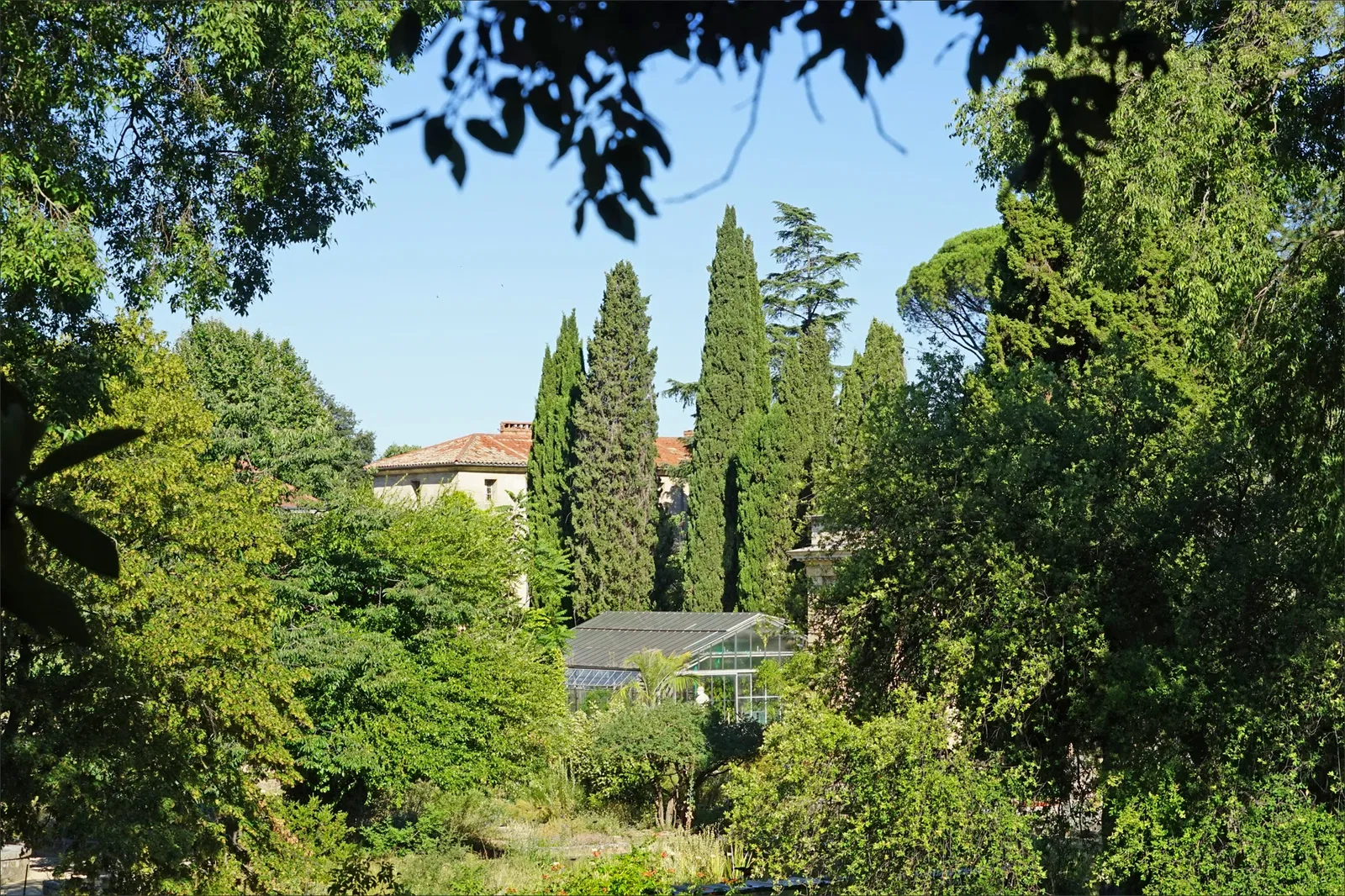 Orto botanico di Montpellier