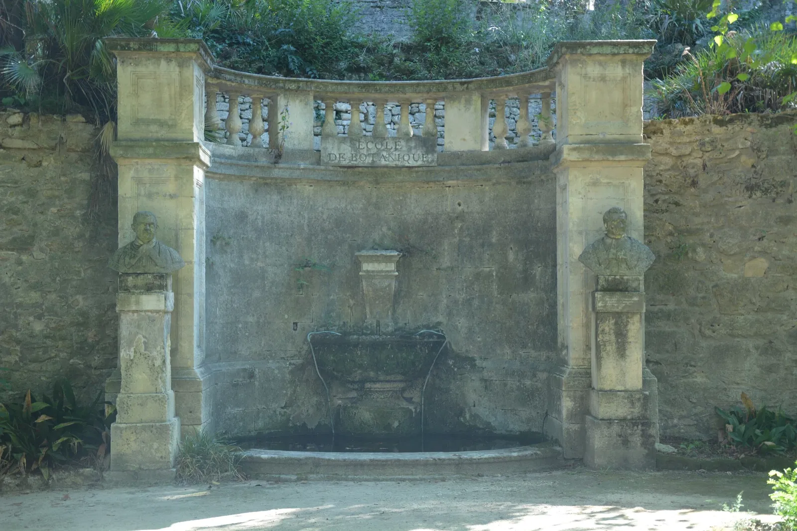 Jardin des plantes de Montpellier