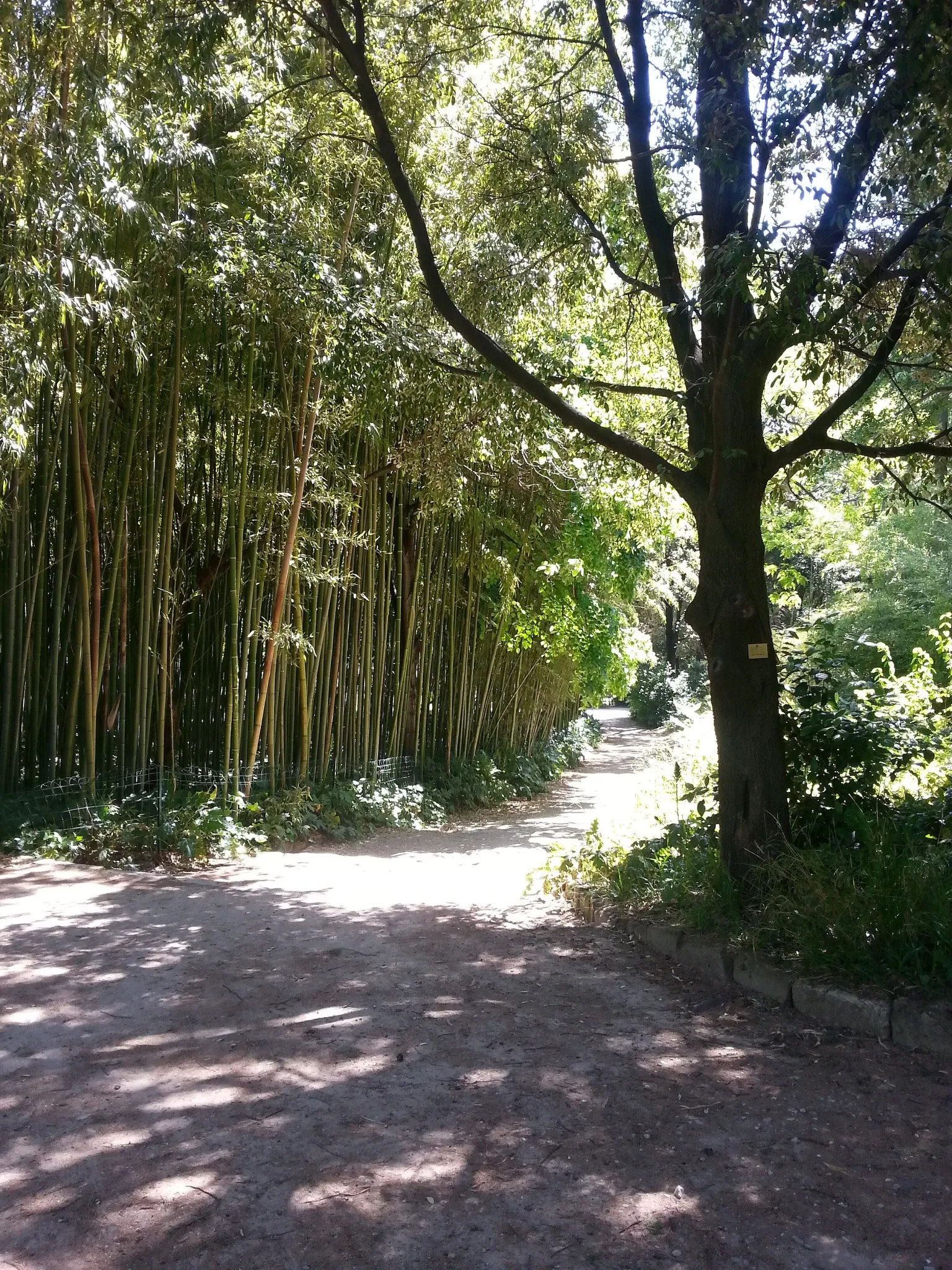 Jardín de plantas de Montpellier