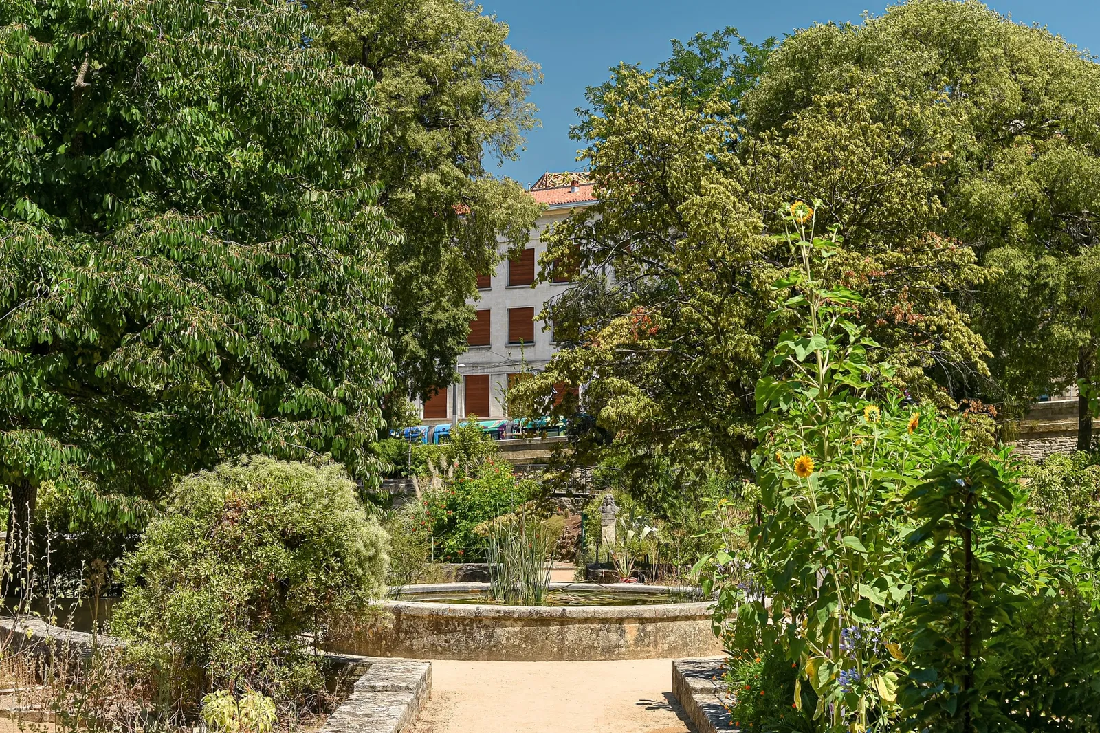 Jardin des plantes de Montpellier