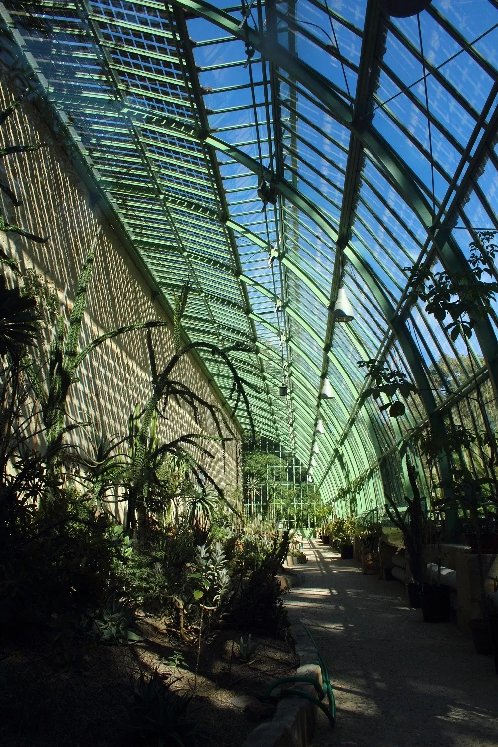 Jardin des plantes de Montpellier