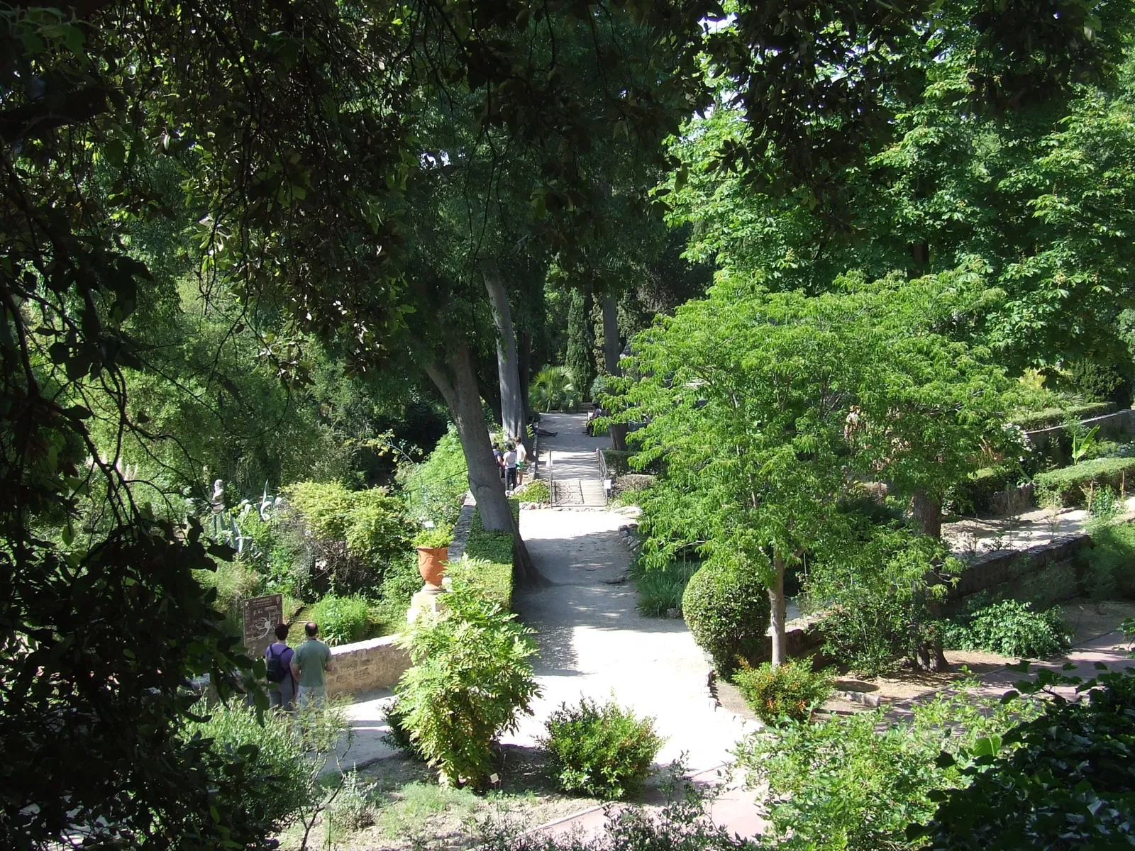 Jardin des plantes de Montpellier