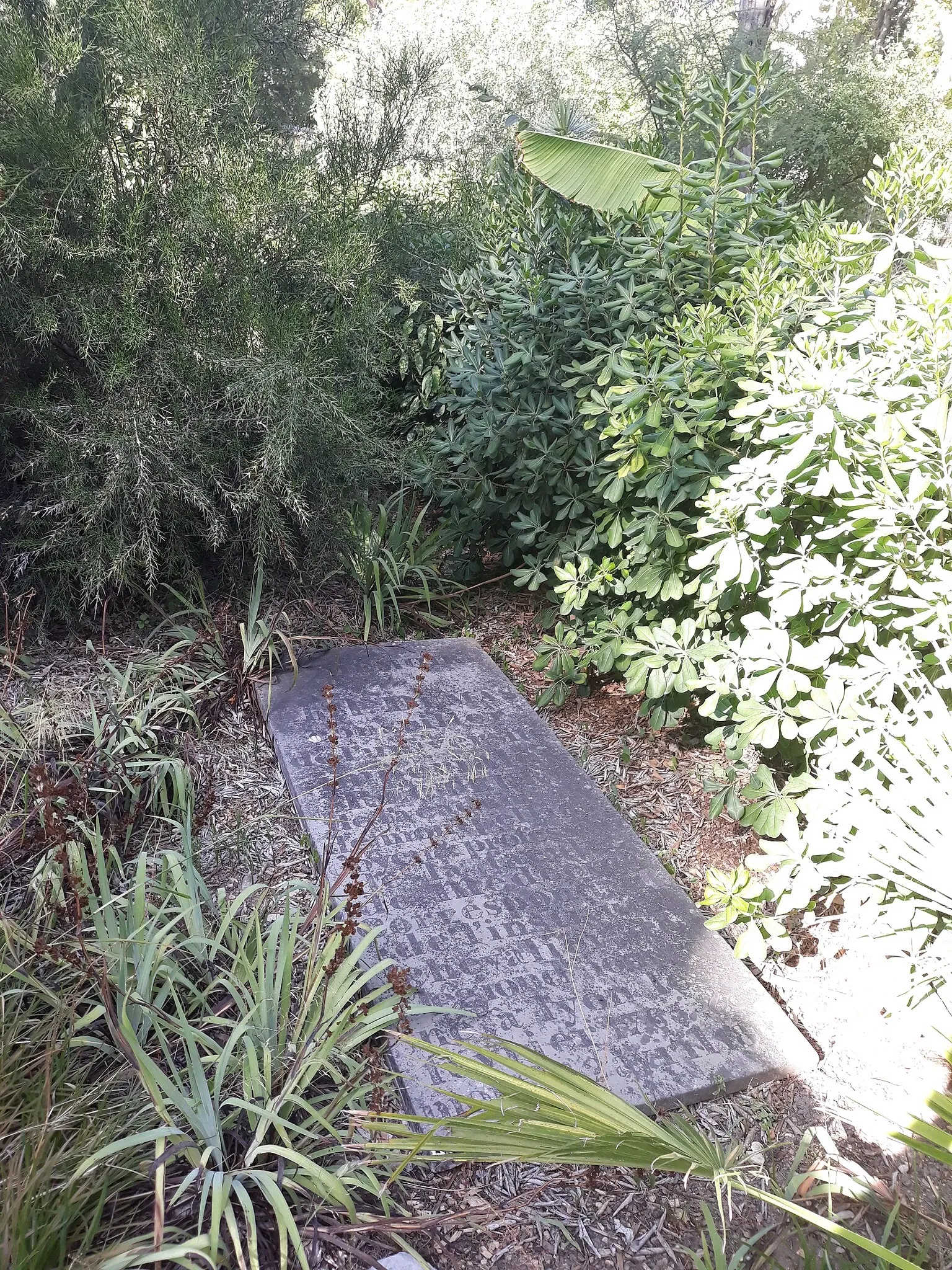 Jardín de plantas de Montpellier