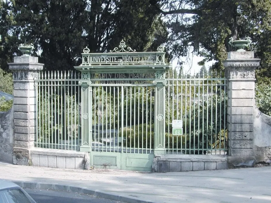 Jardin des plantes de Montpellier