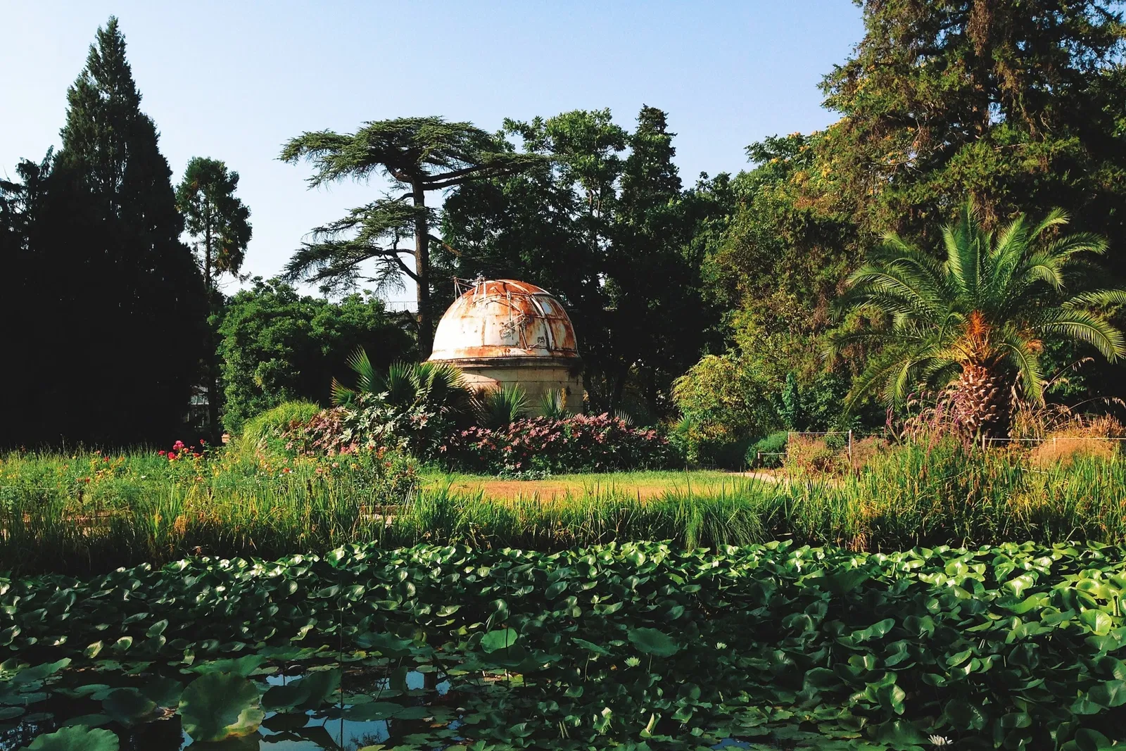 Jardin des plantes de Montpellier