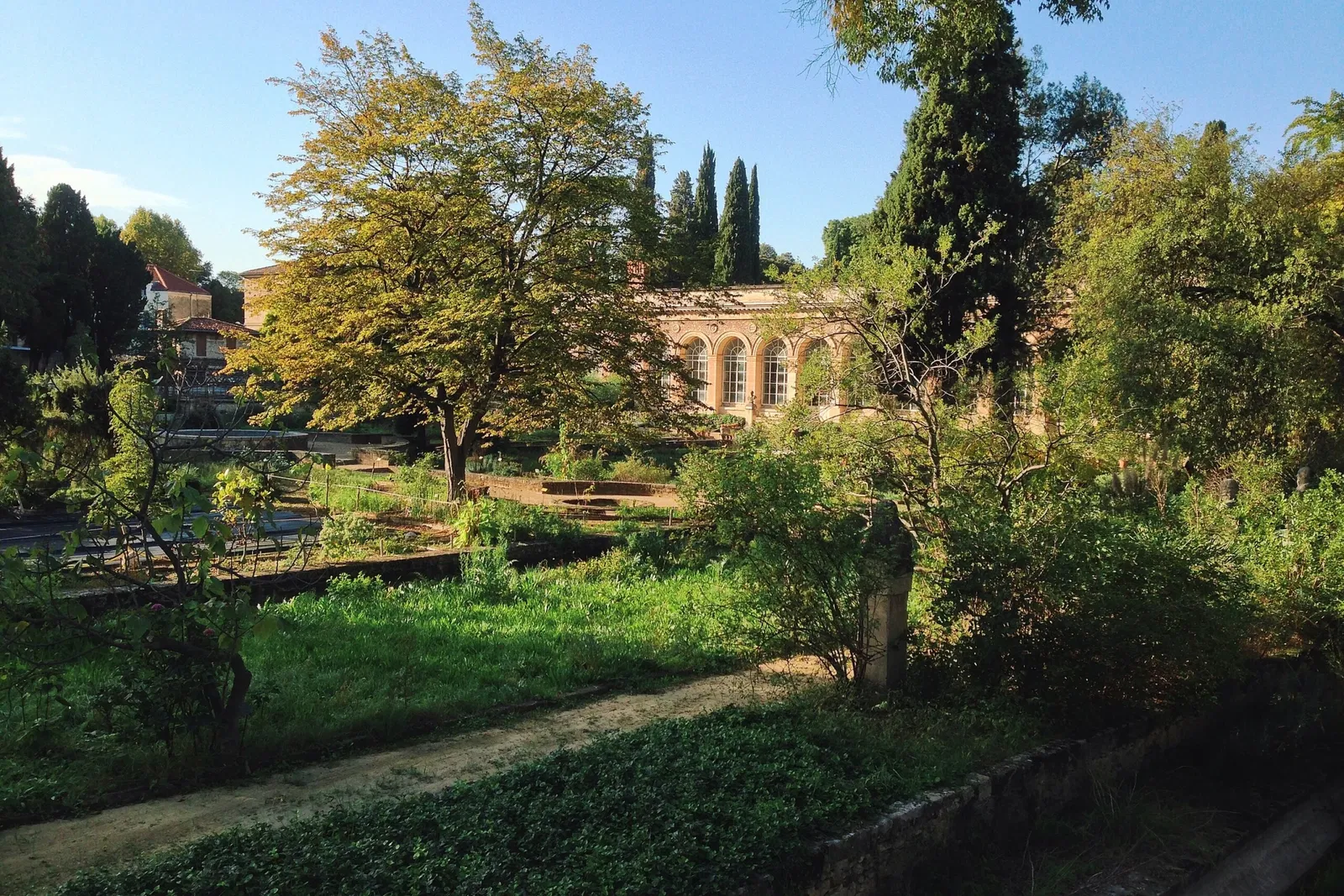 Jardin des plantes de Montpellier