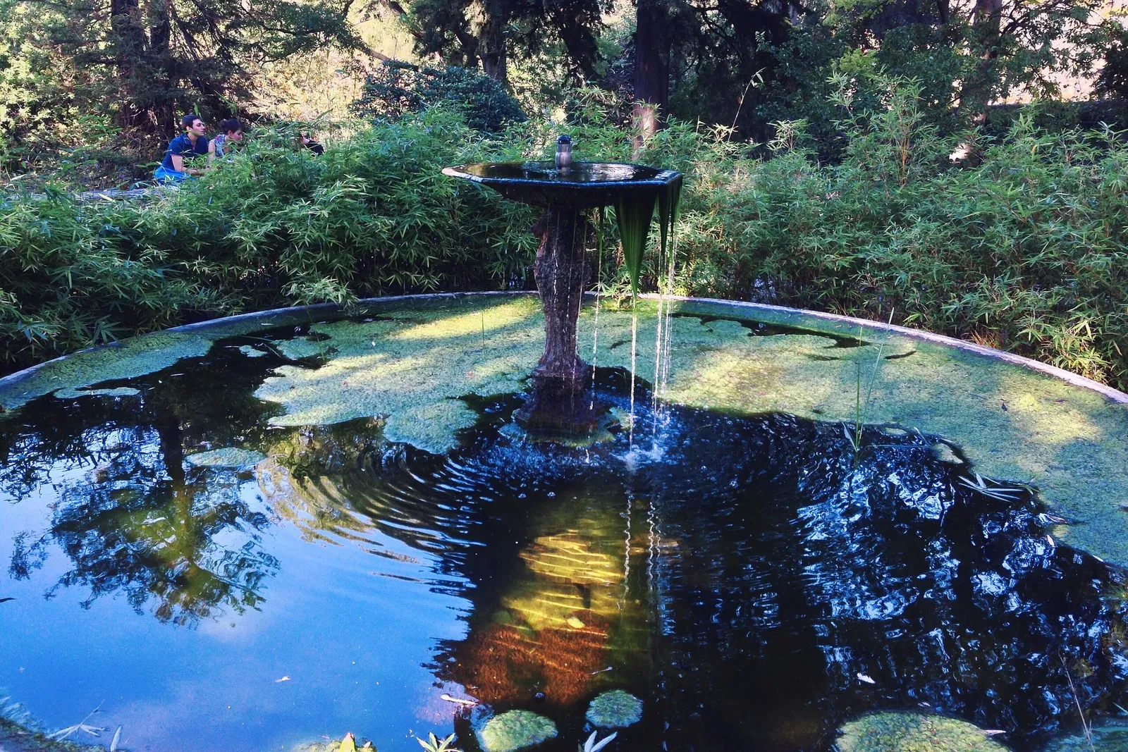 Jardín de plantas de Montpellier