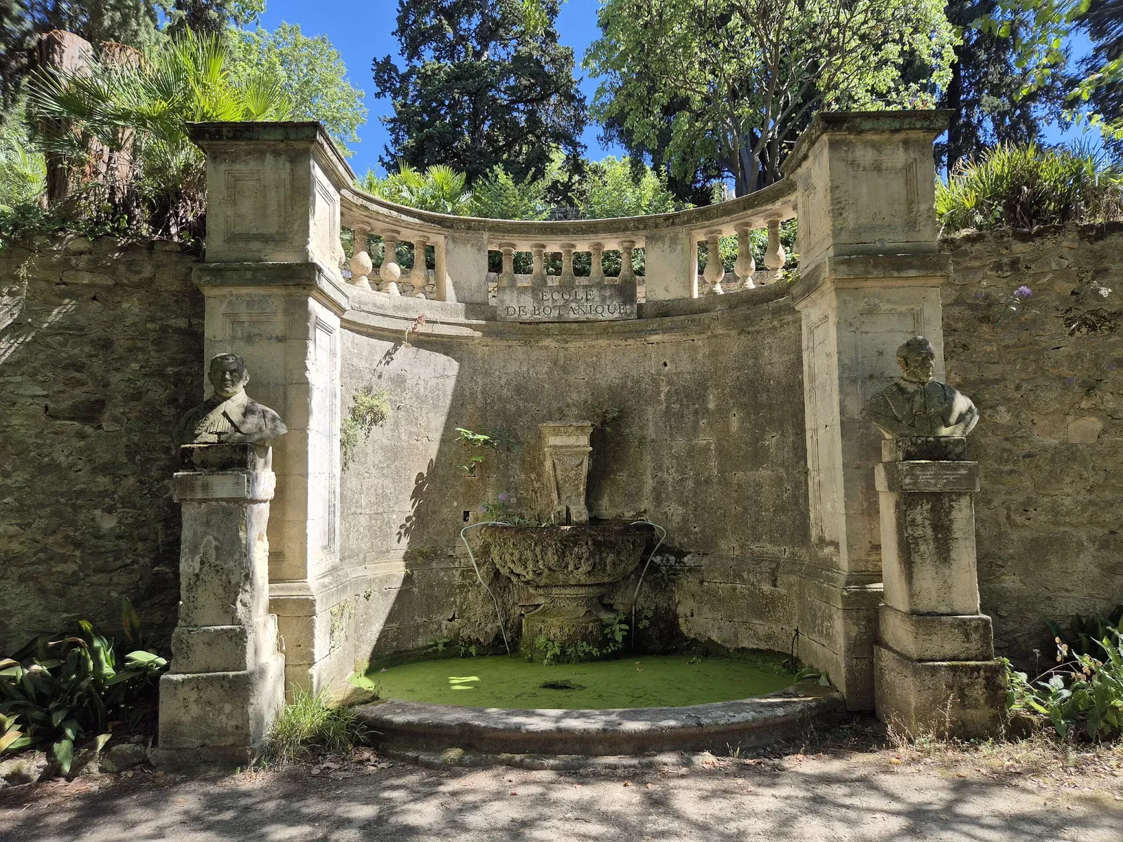 Jardin des plantes de Montpellier