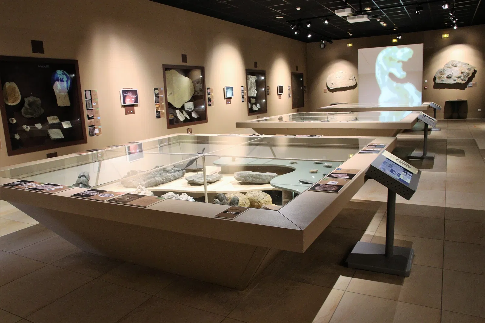 Natural History Museum