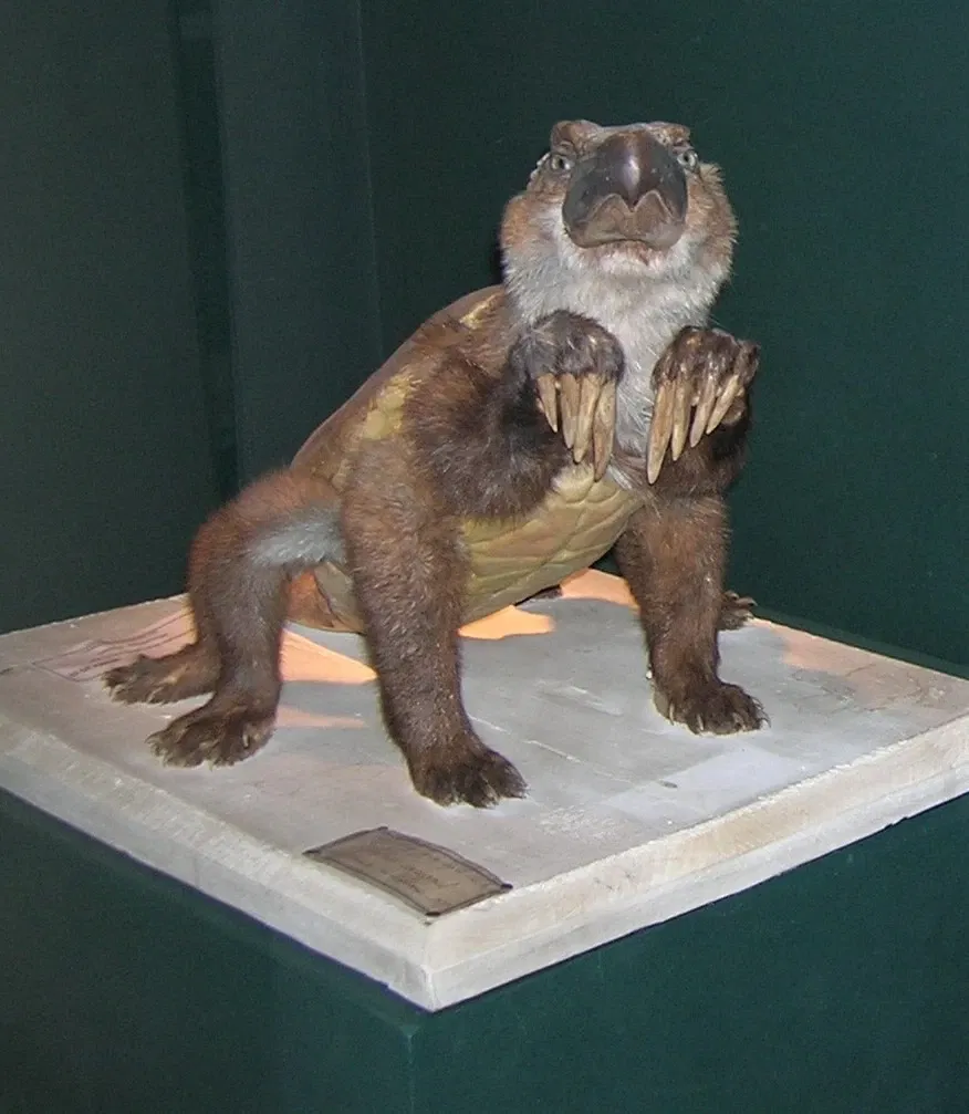 Muséum d'Histoire Naturelle