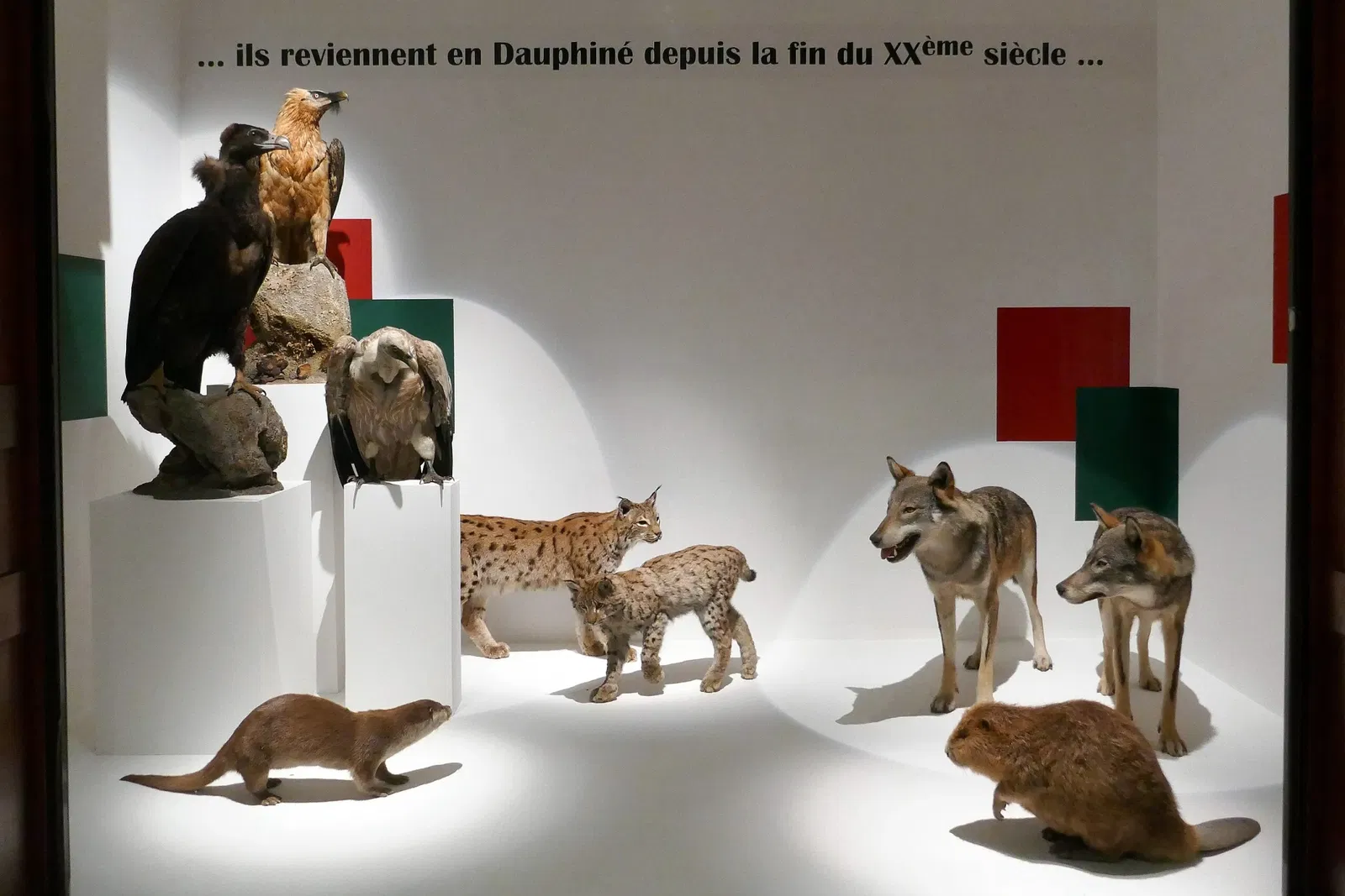 Muséum d'Histoire Naturelle