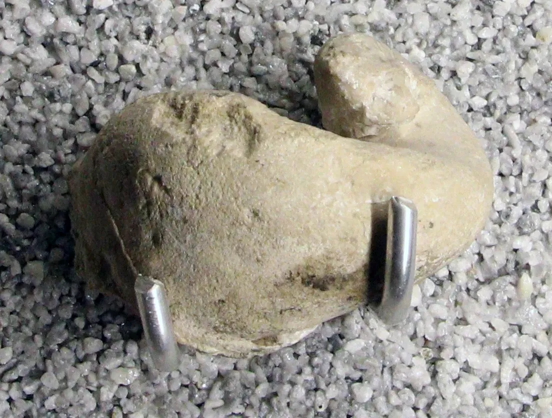 Natural History Museum