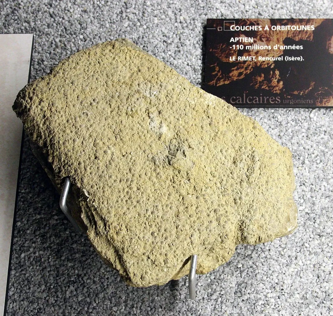 Natural History Museum