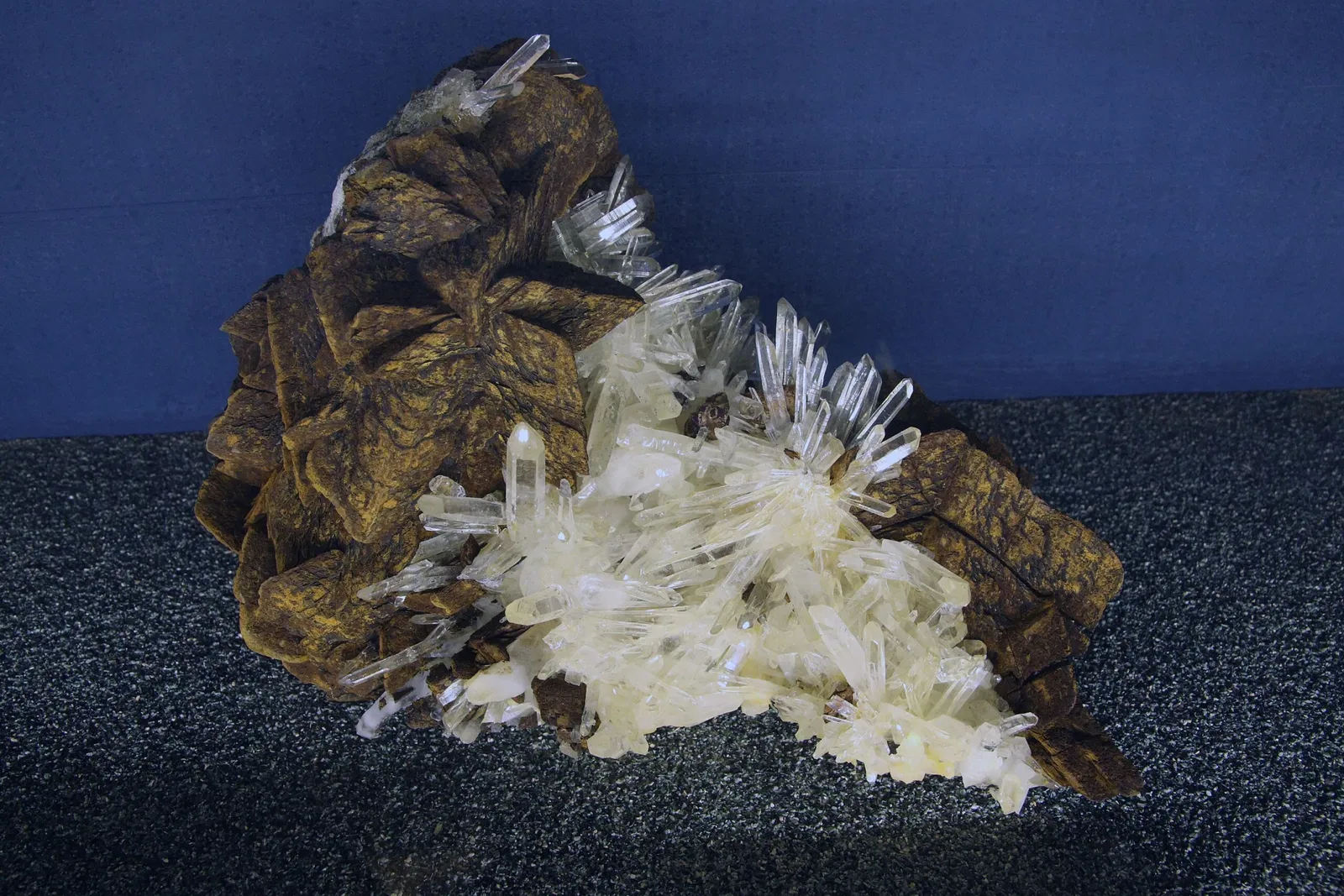 Natural History Museum