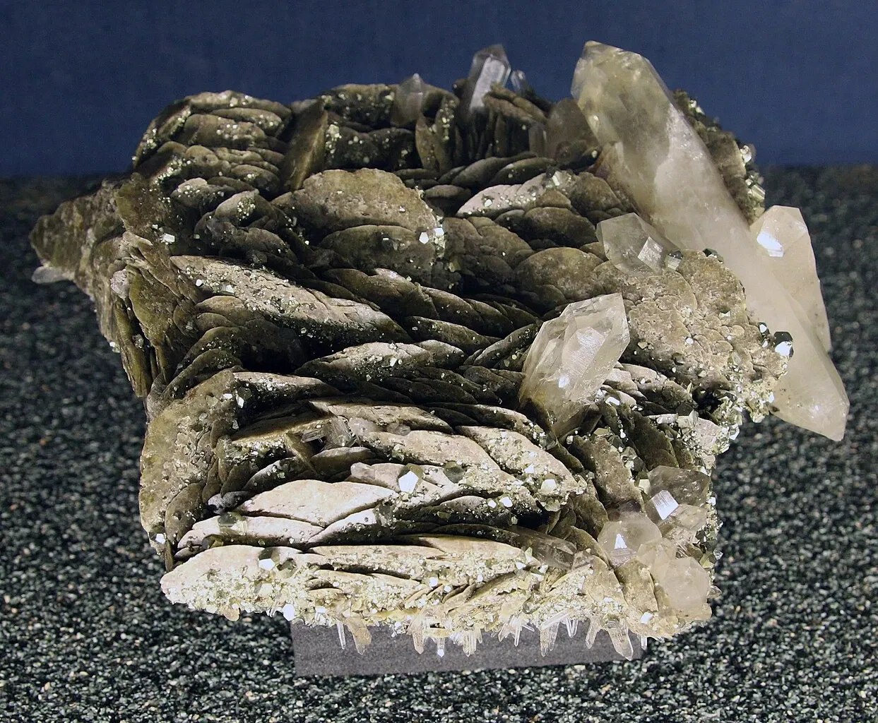 Natural History Museum