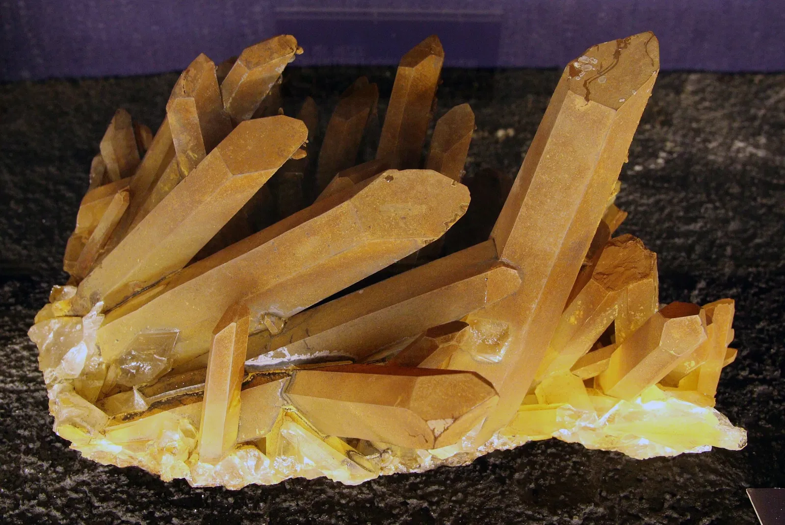 Natural History Museum