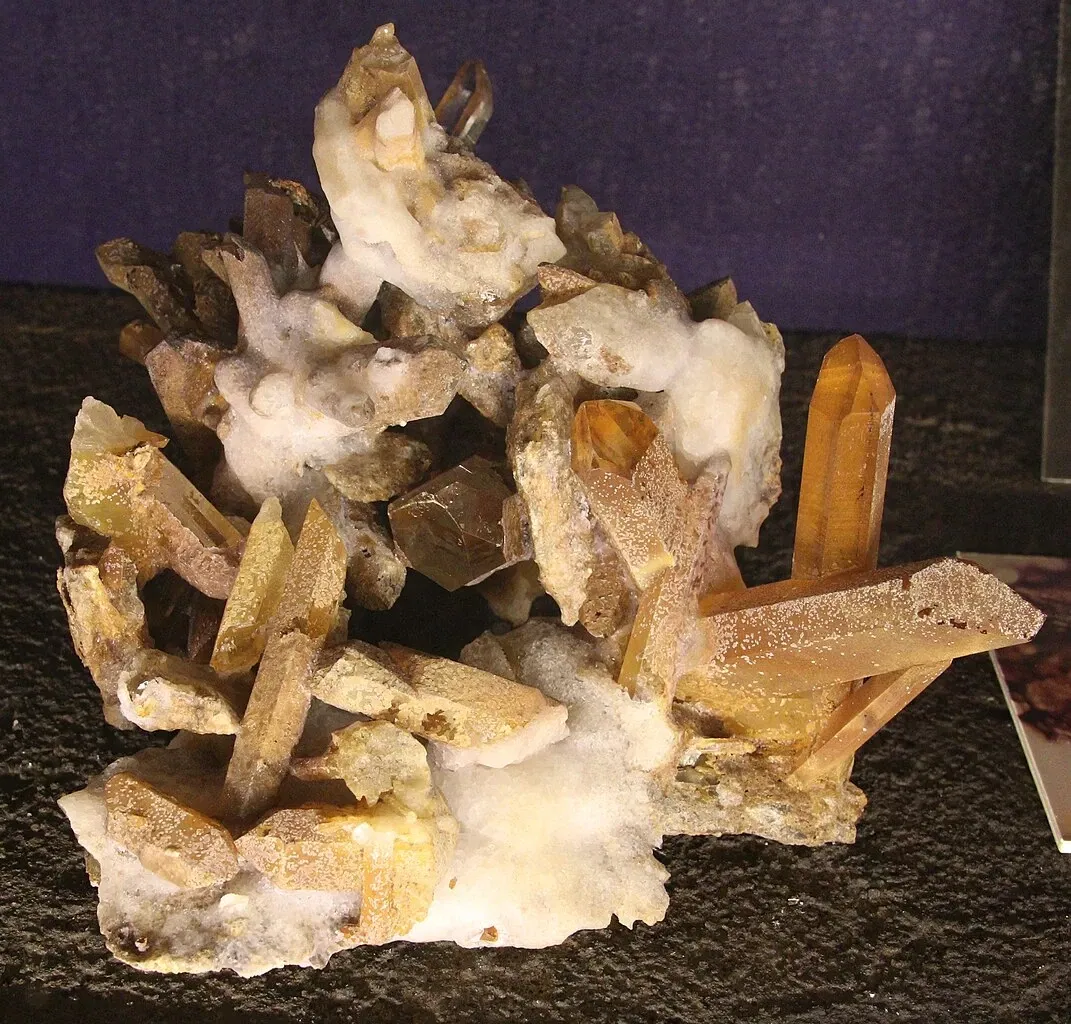 Muséum d'Histoire Naturelle