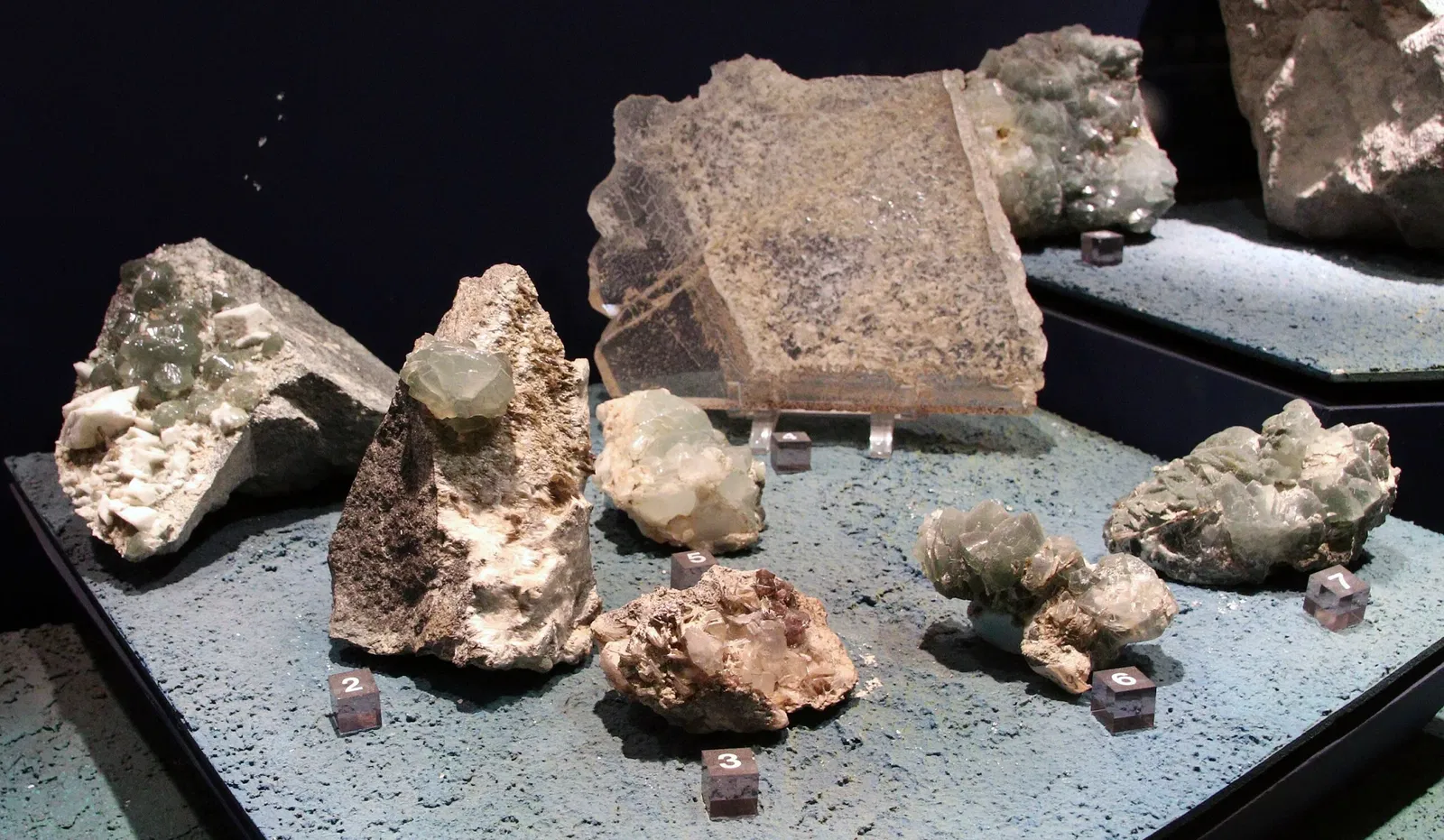 Muséum d'Histoire Naturelle