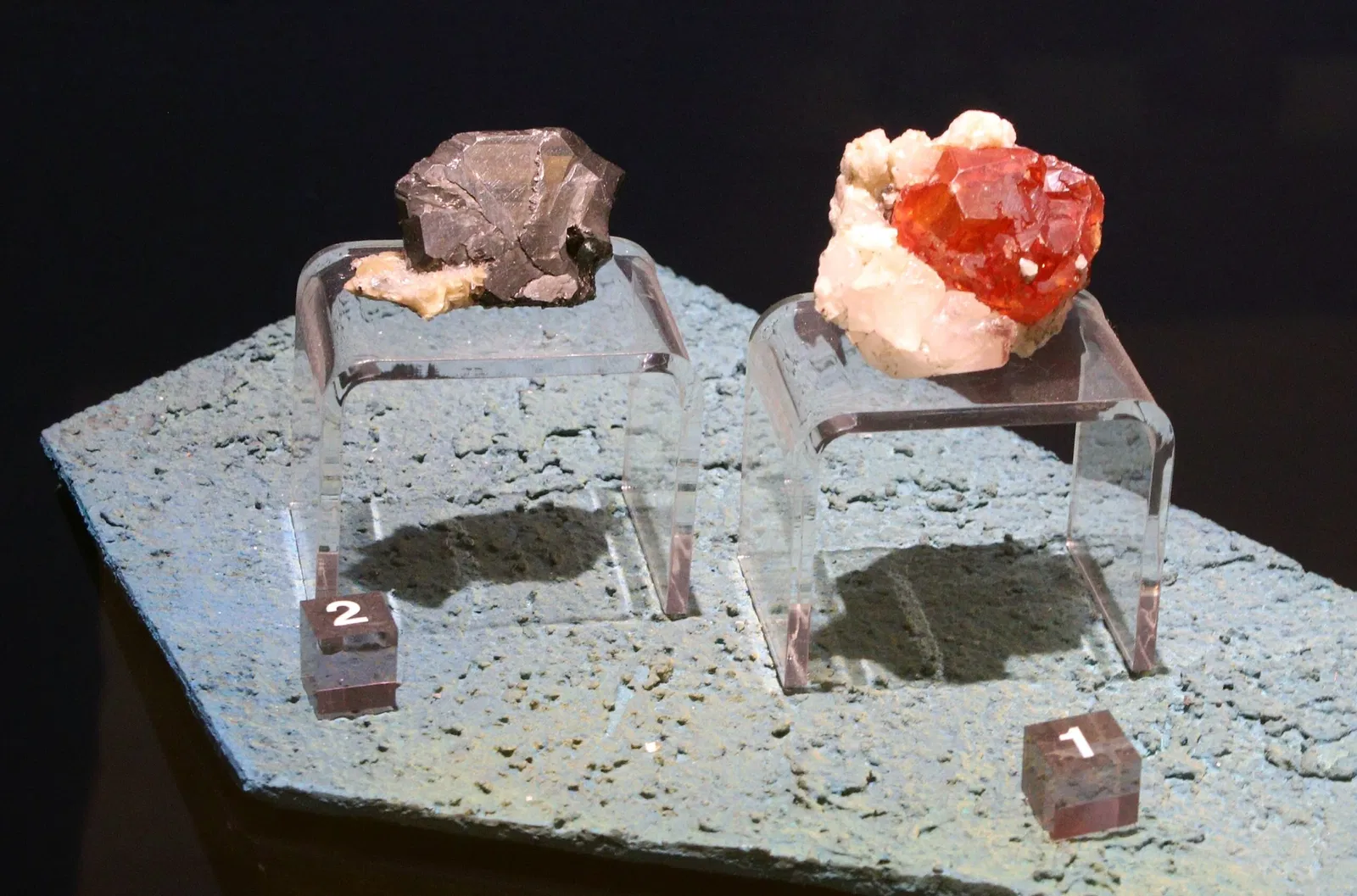 Muséum d'Histoire Naturelle