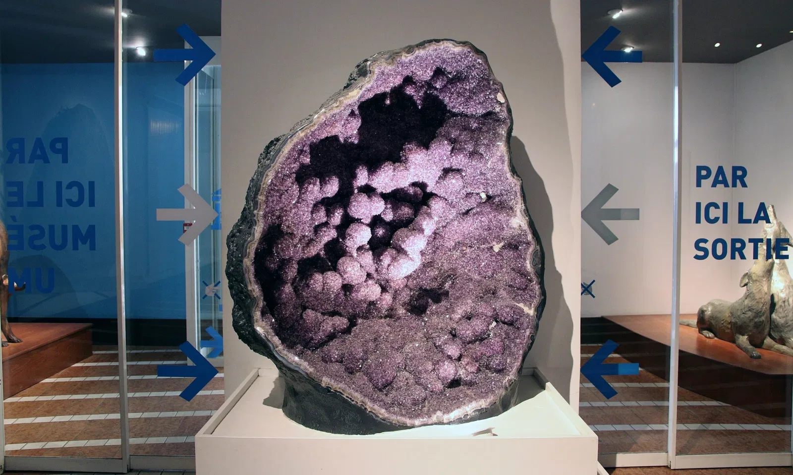 Natural History Museum