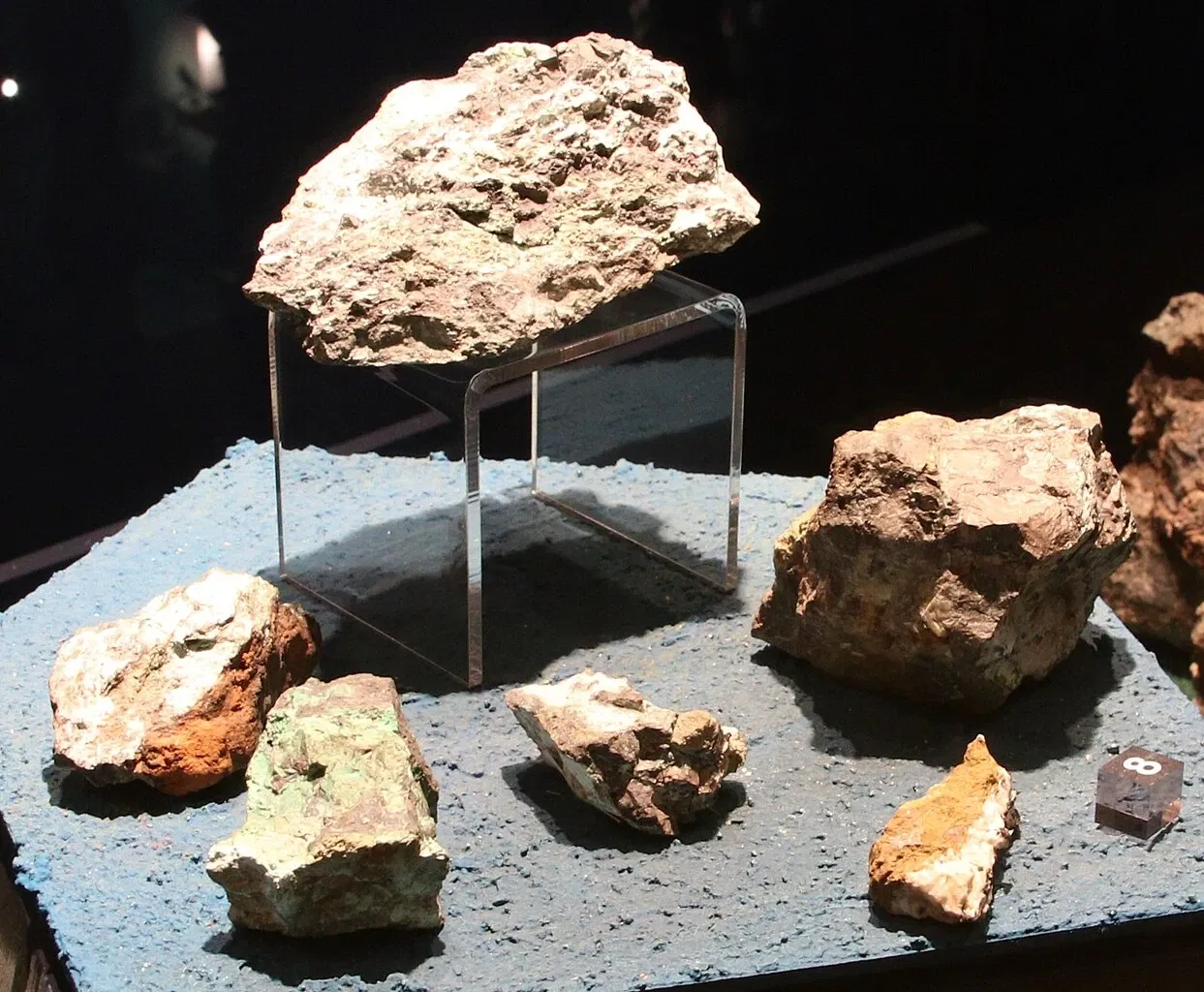 Natural History Museum