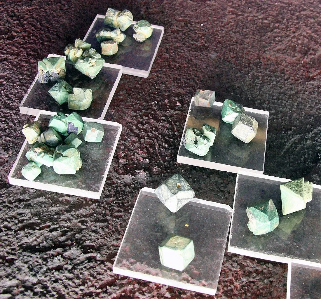 Muséum d'Histoire Naturelle