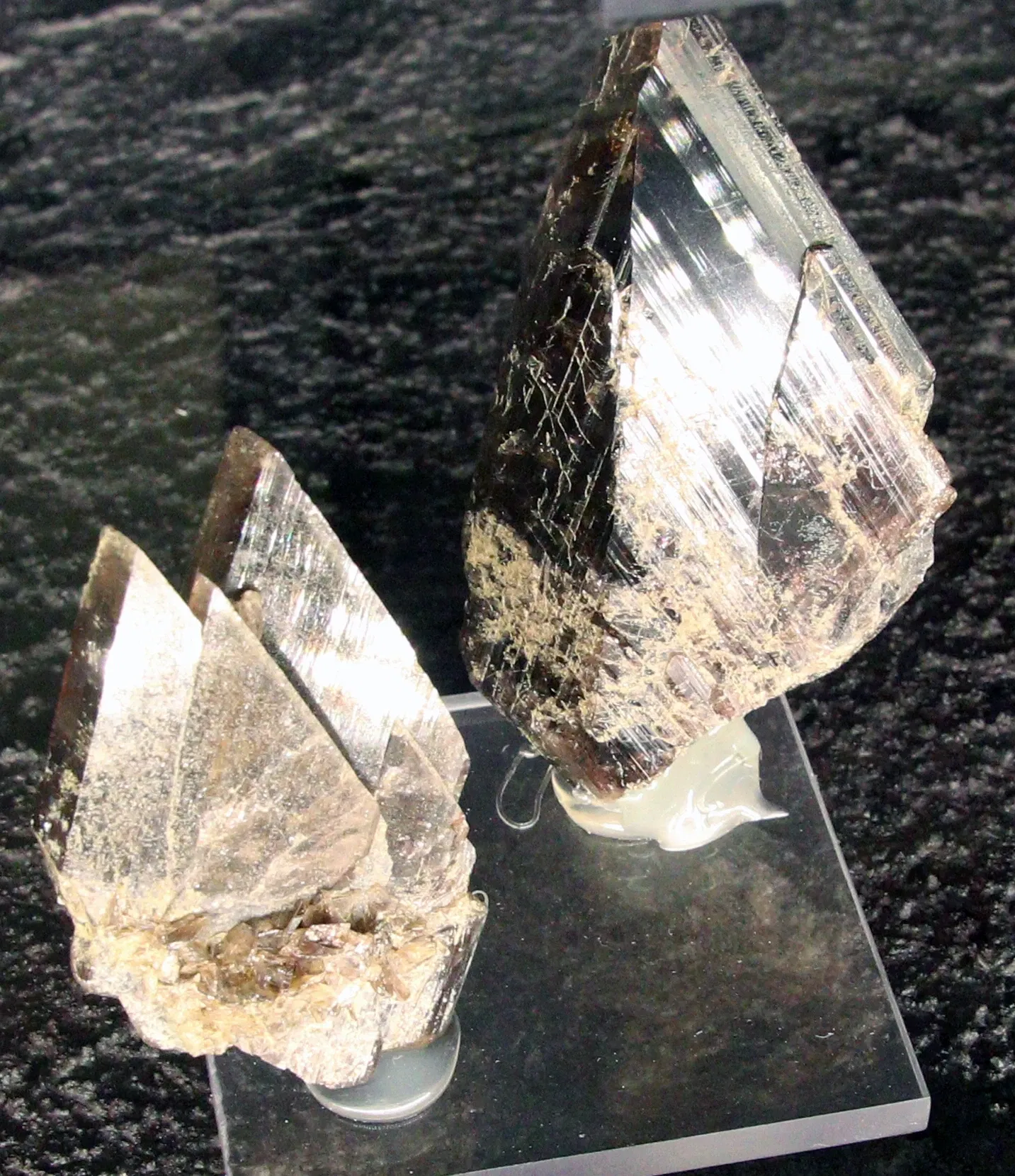 Natural History Museum