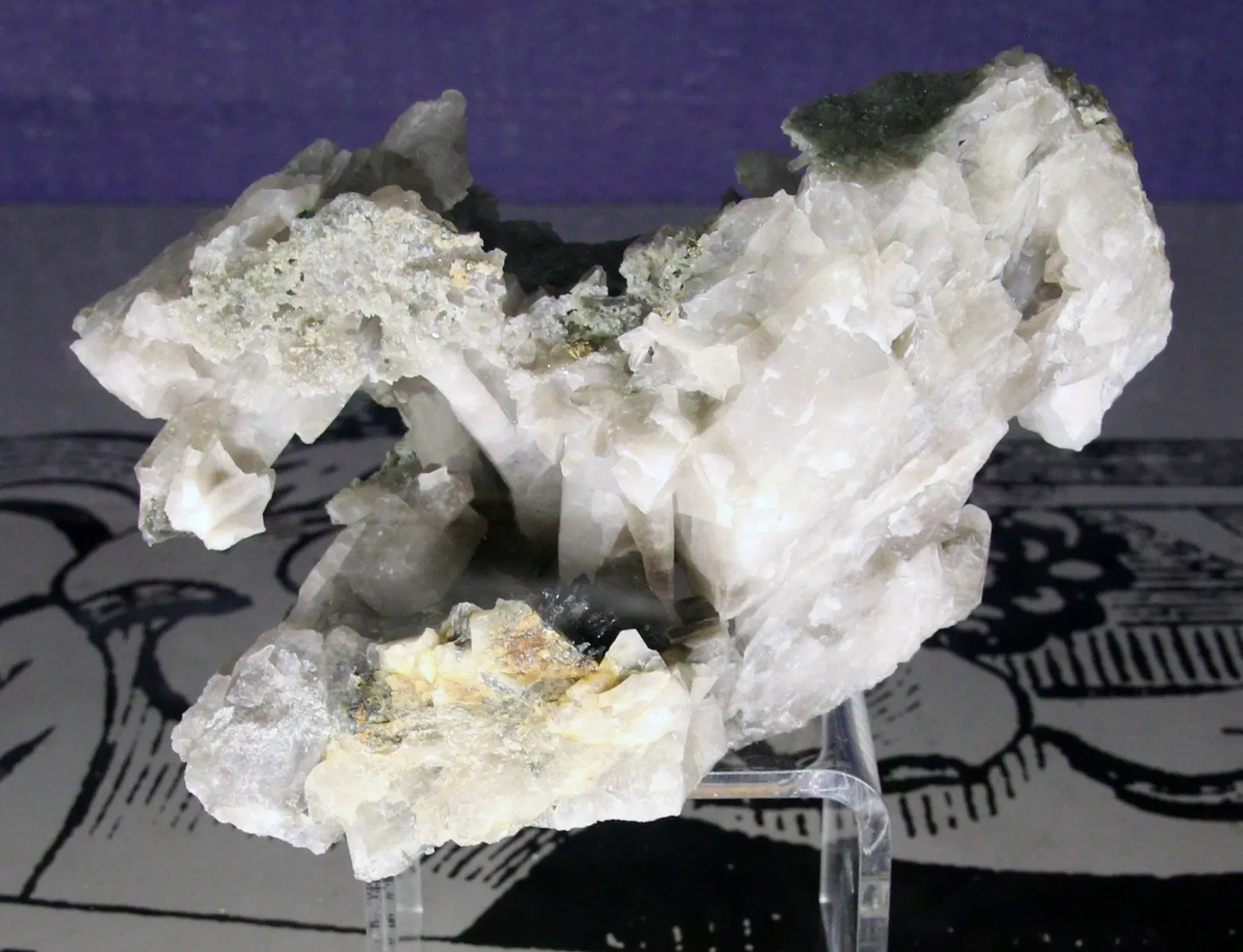 Natural History Museum