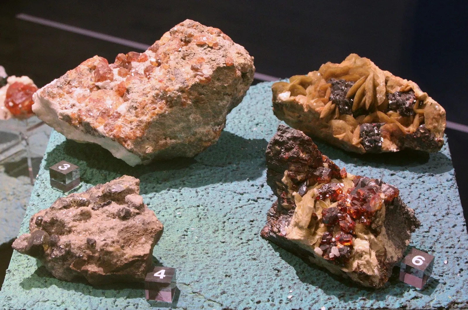 Natural History Museum