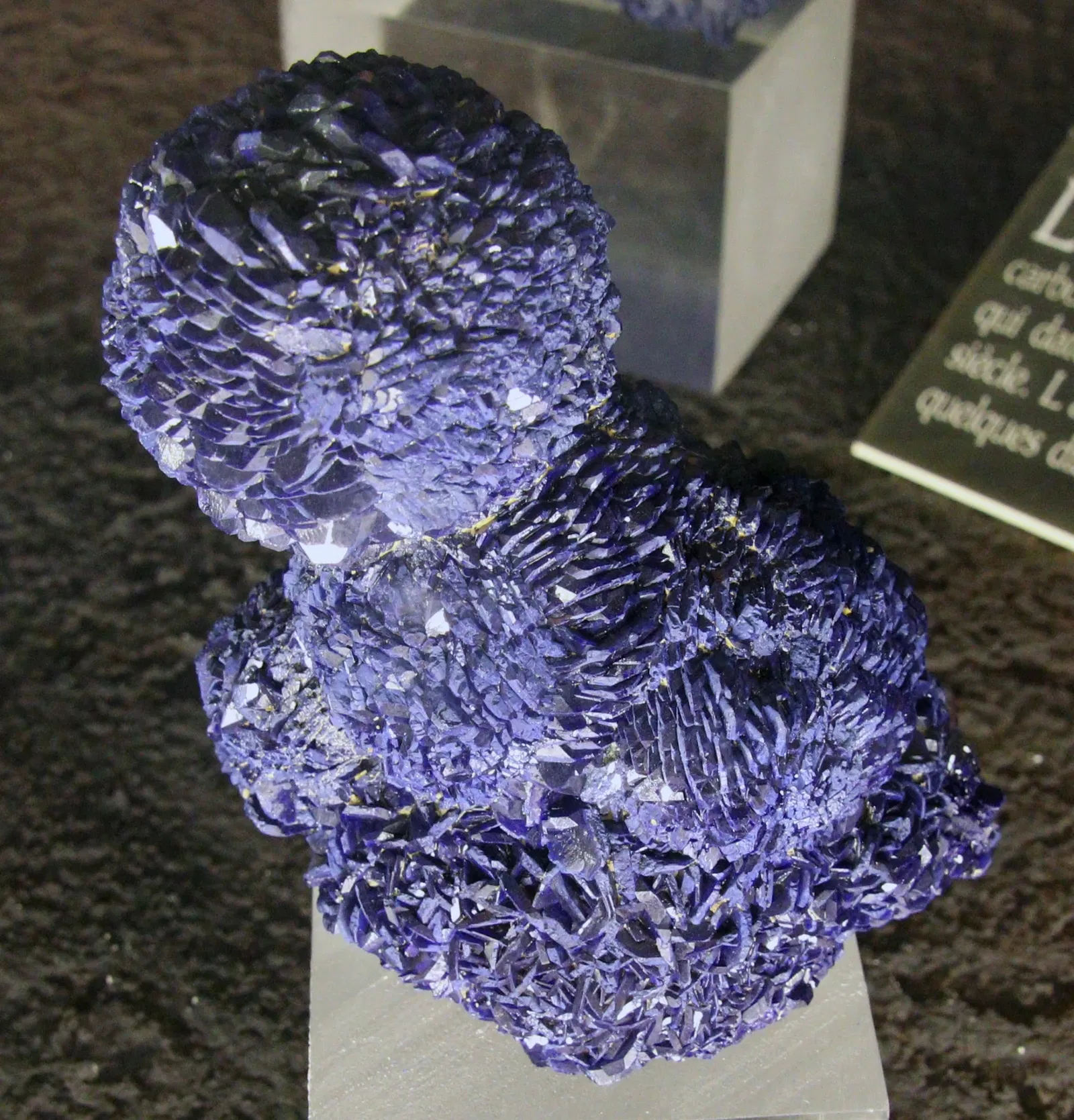 Natural History Museum