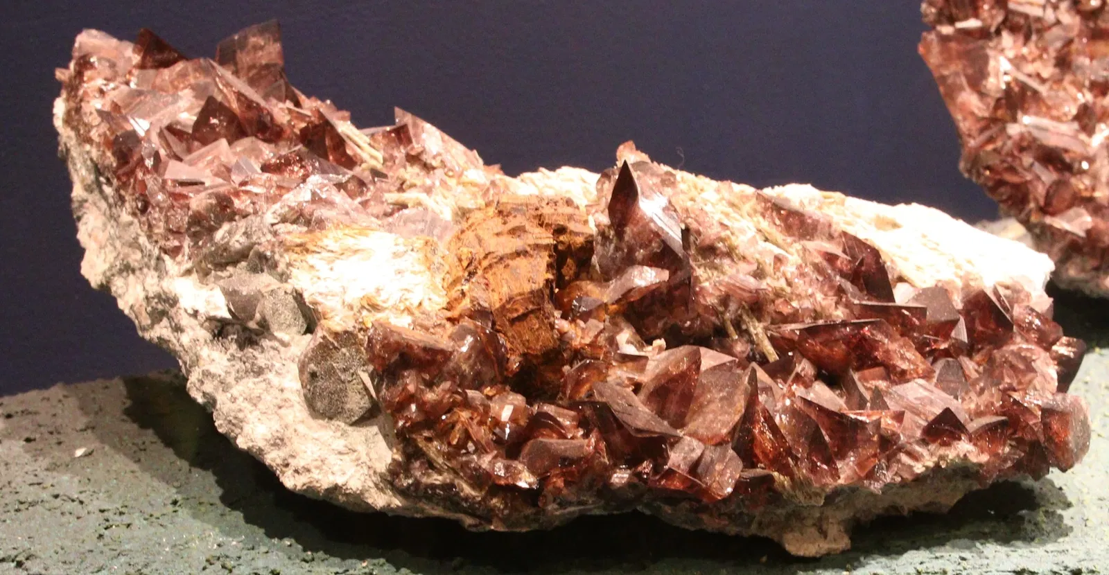 Natural History Museum