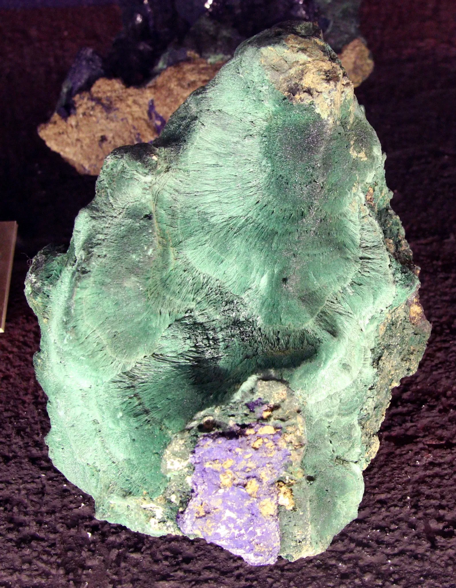 Natural History Museum