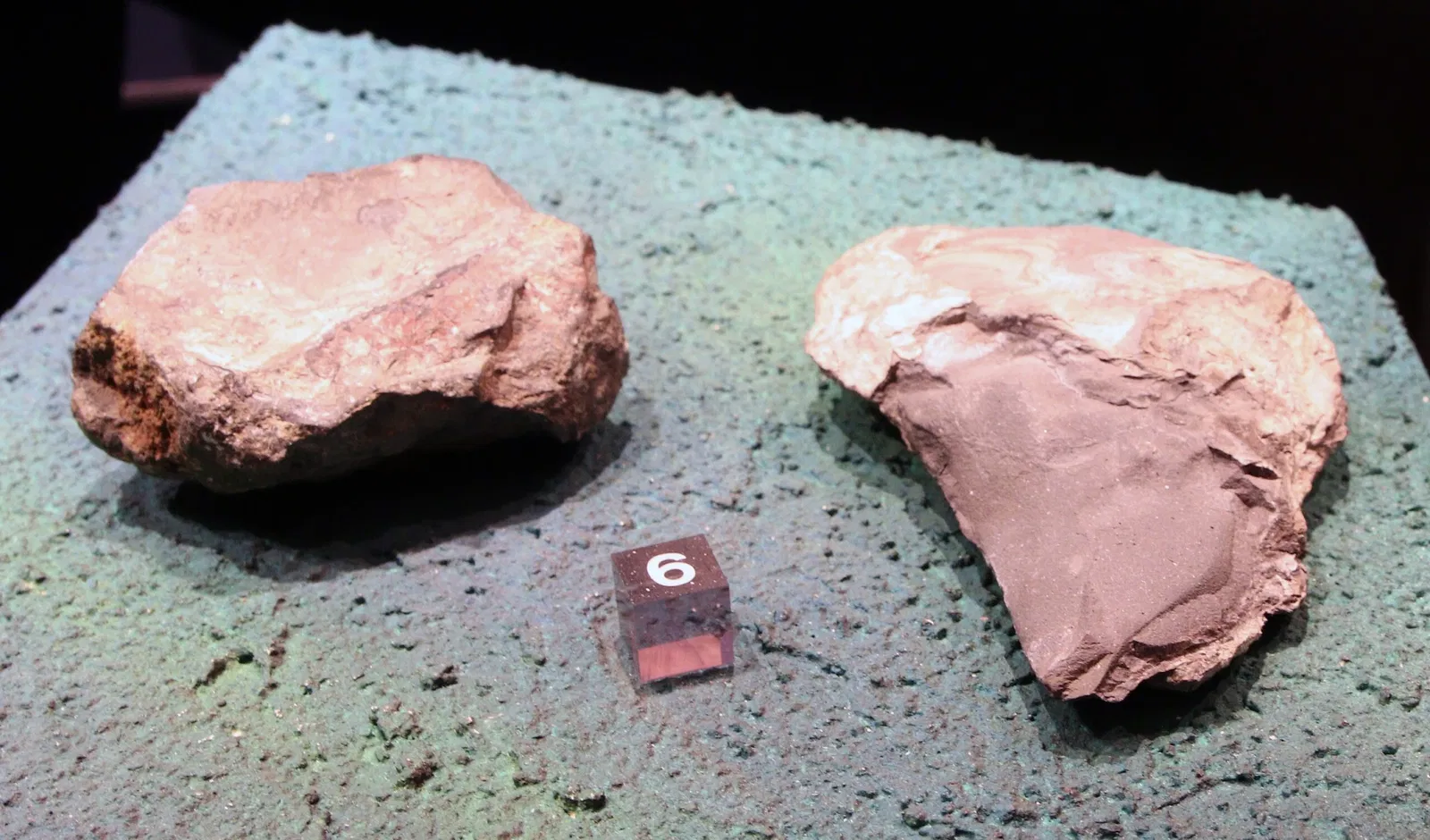 Natural History Museum