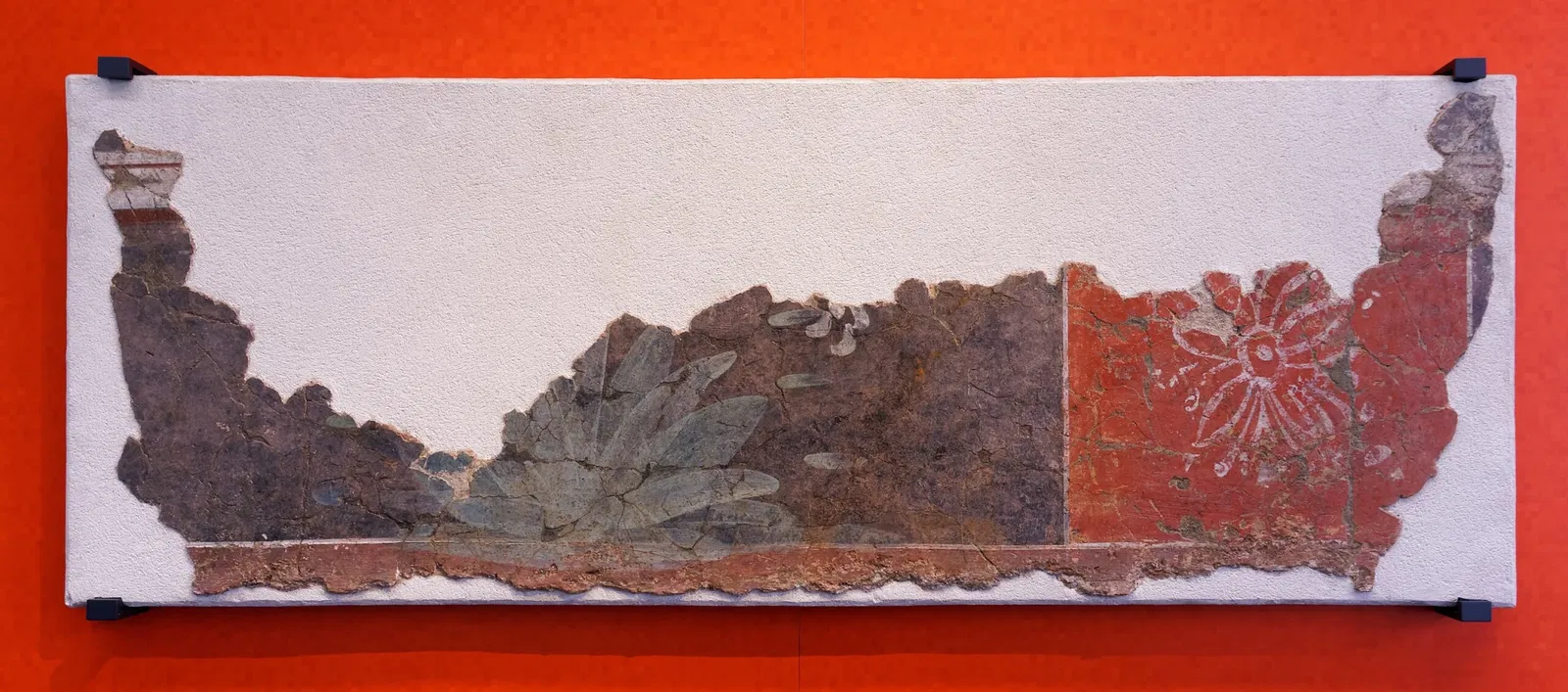 Museo del Ancien Évêché