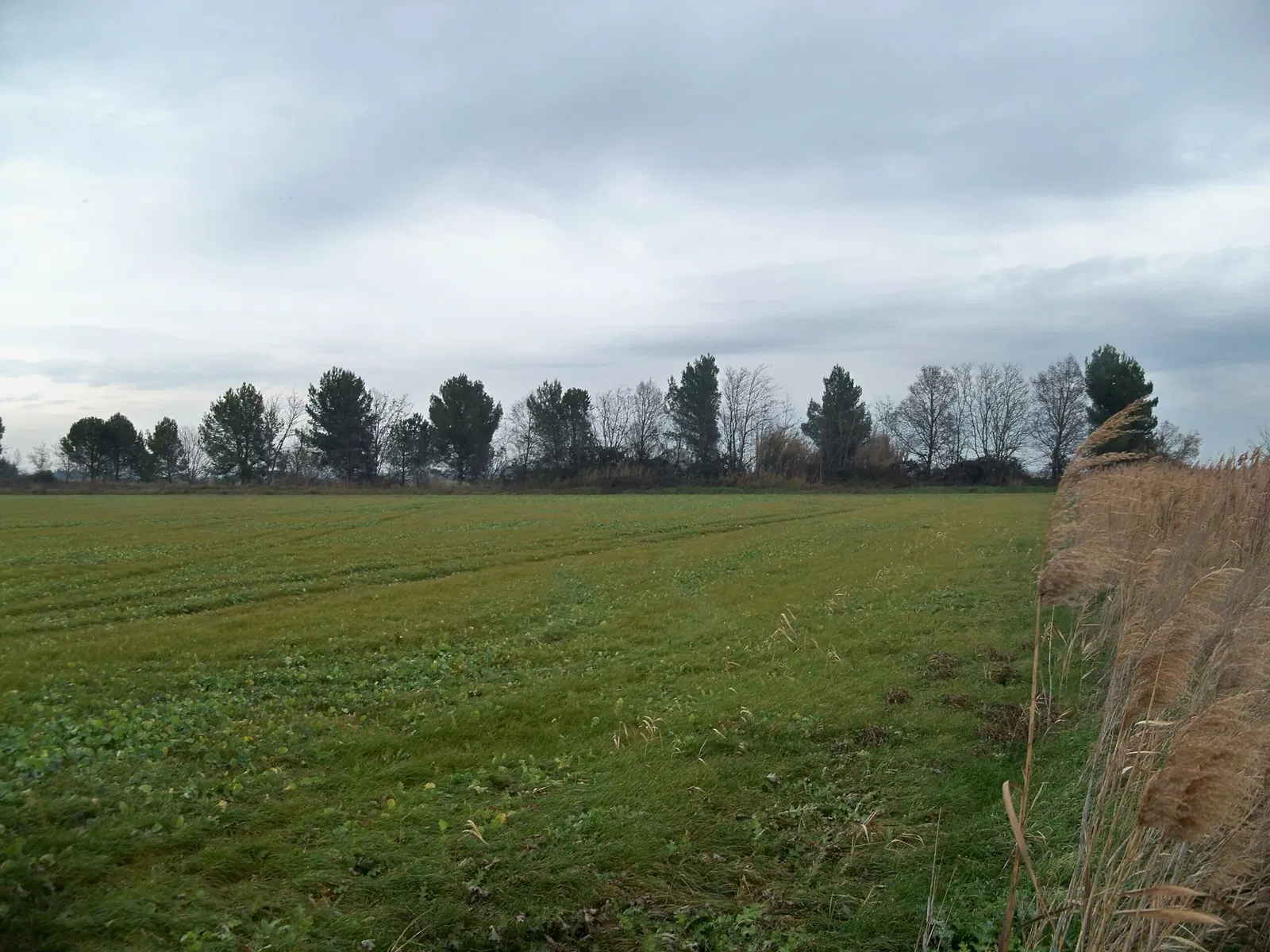 Musée de la Camargue