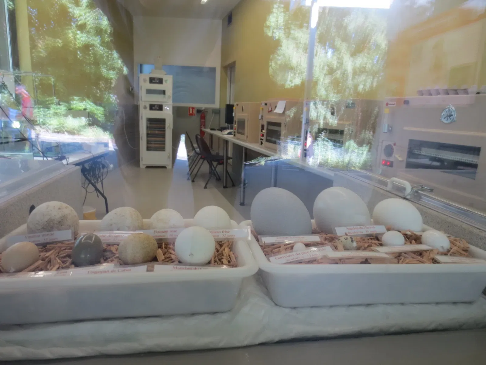 Mulhouse Zoological and Botanical Park