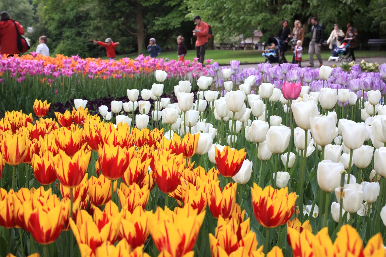 Parque zoológico y botánico de Mulhouse