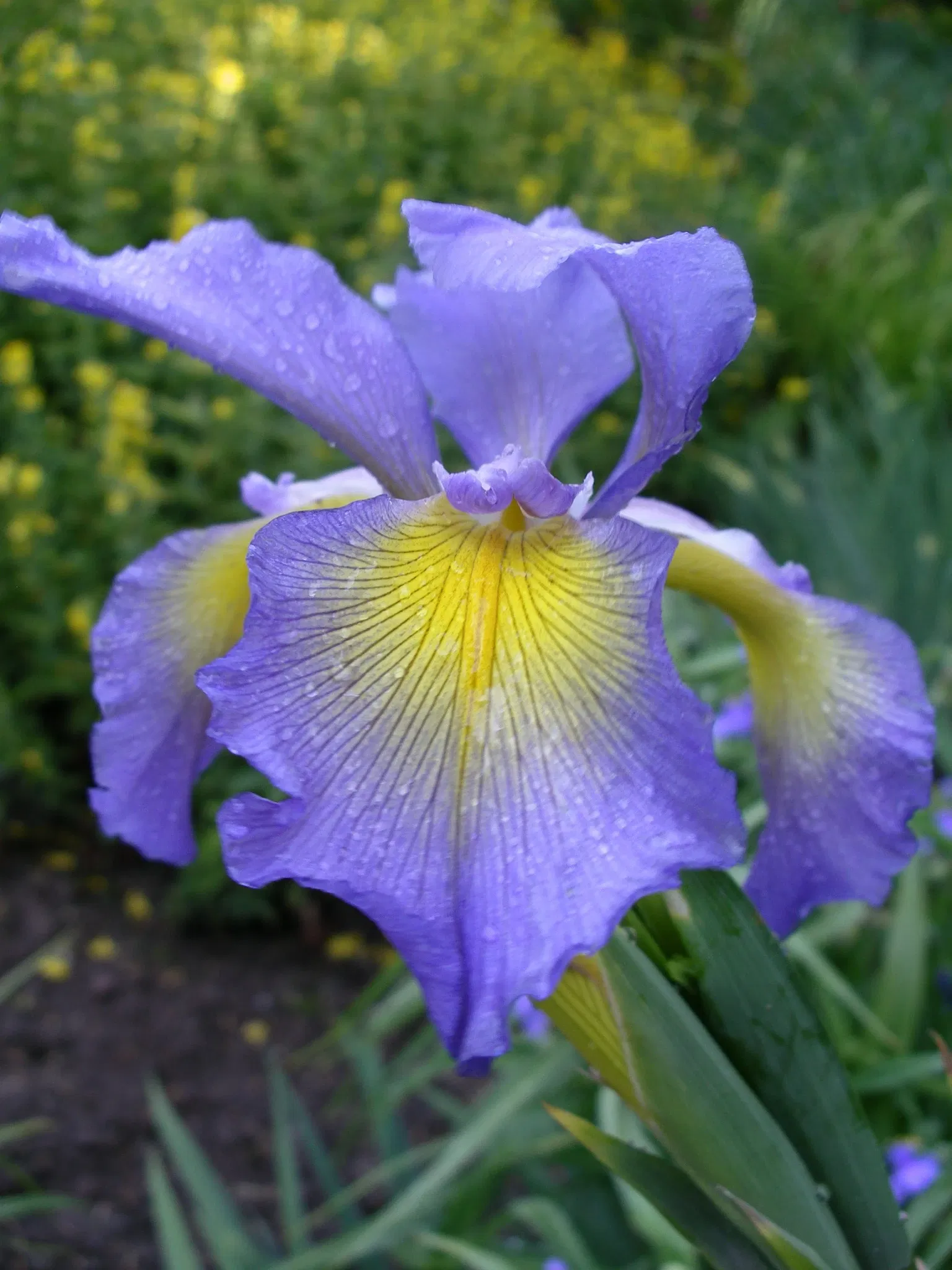 Mulhouse Zoological and Botanical Park