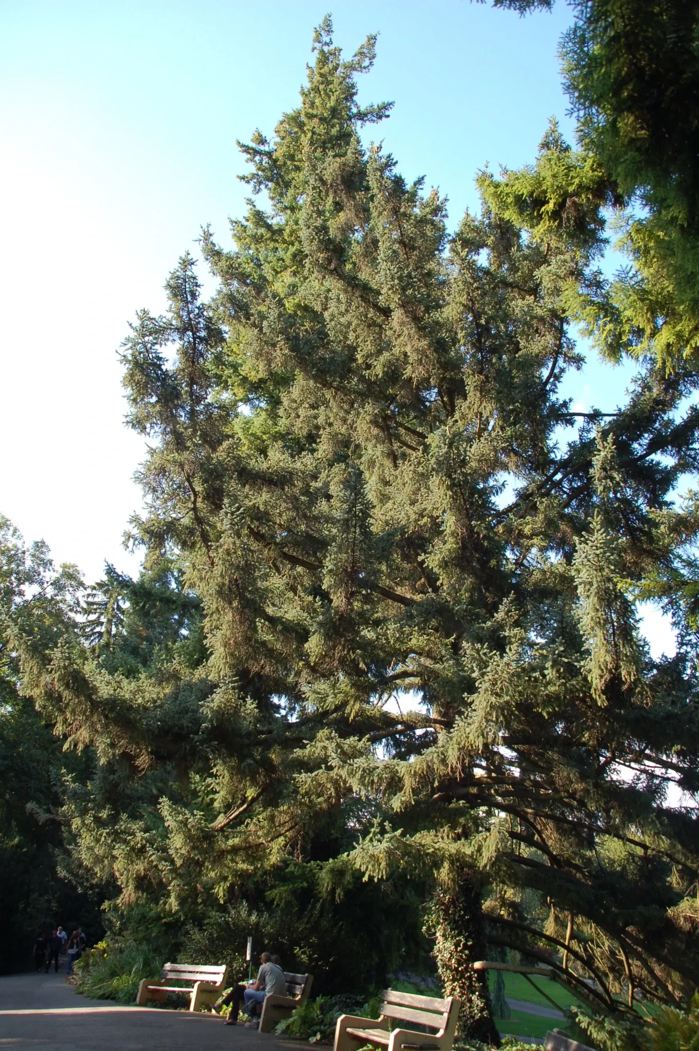 Mulhouse Zoological and Botanical Park