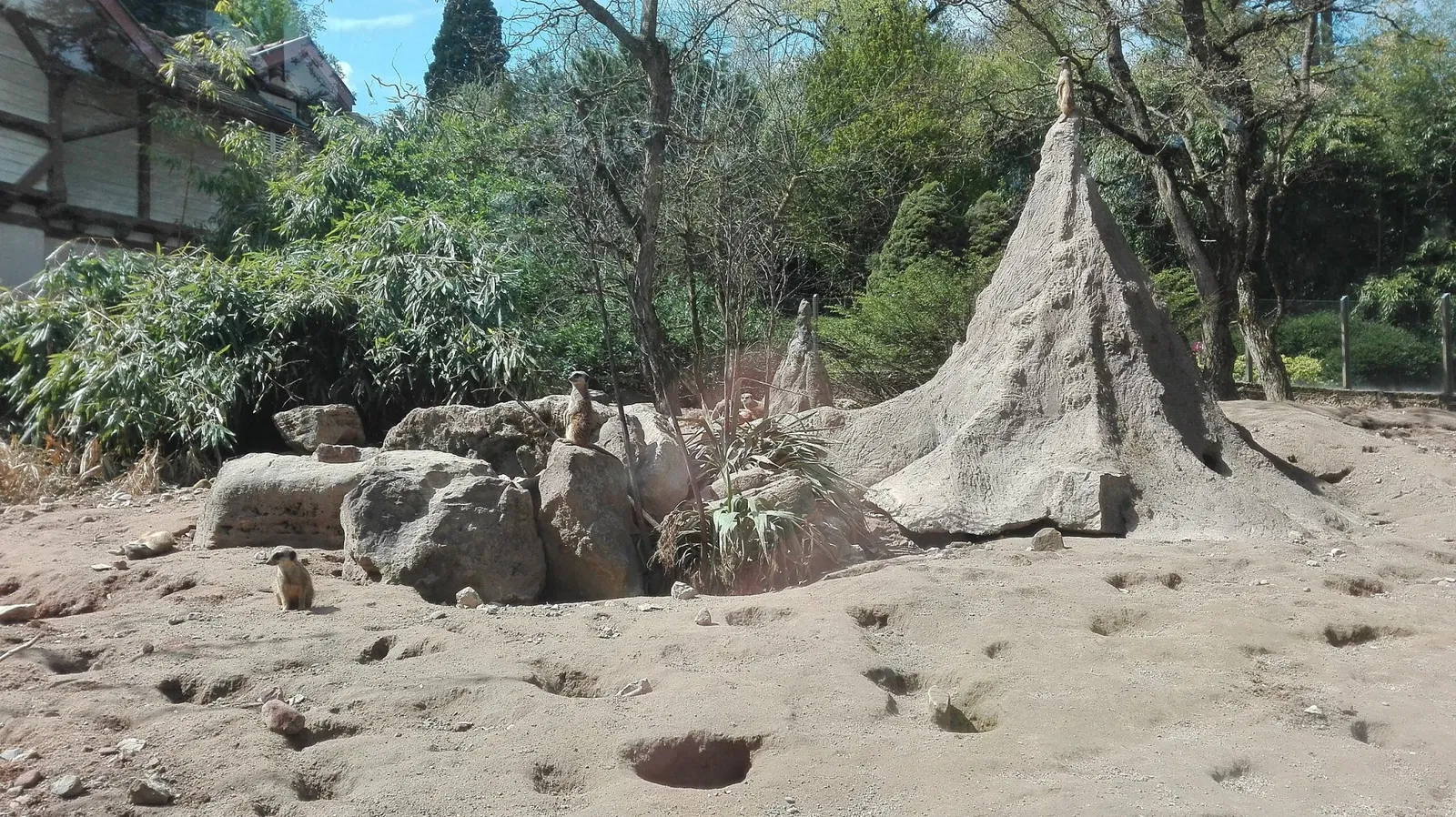 Parque zoológico y botánico de Mulhouse